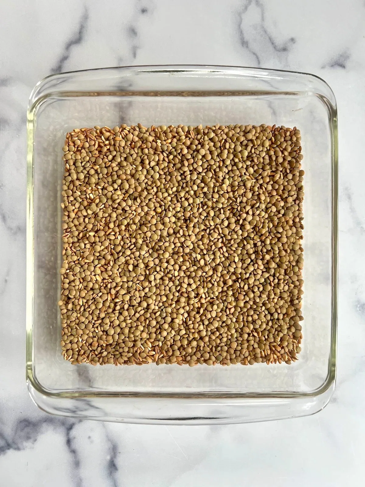 Baked Farro with Lentils, Tomato and Mozzarella
