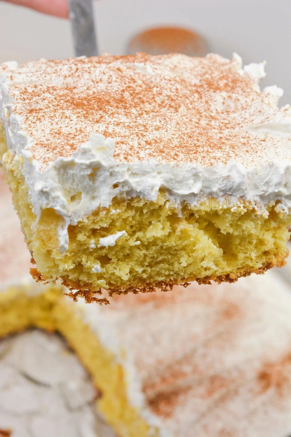 Eggnog Poke Cake