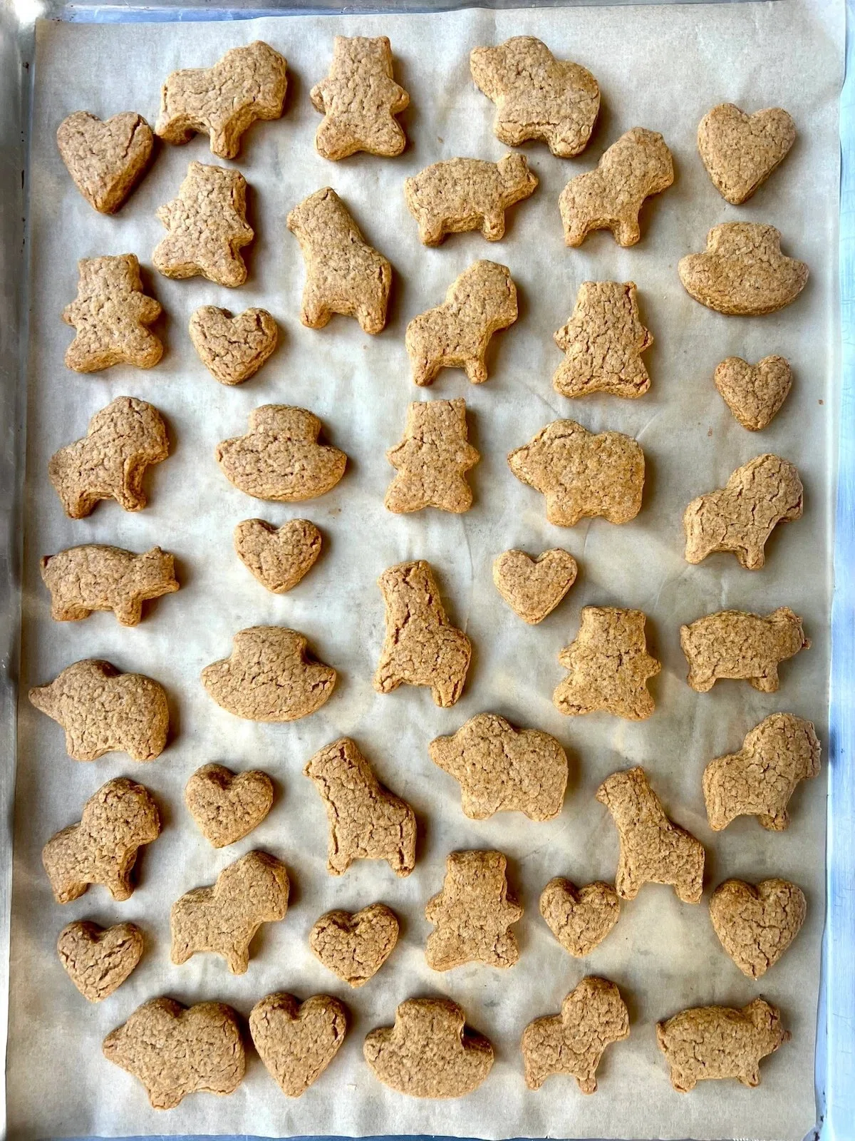 Homemade Graham Crackers
