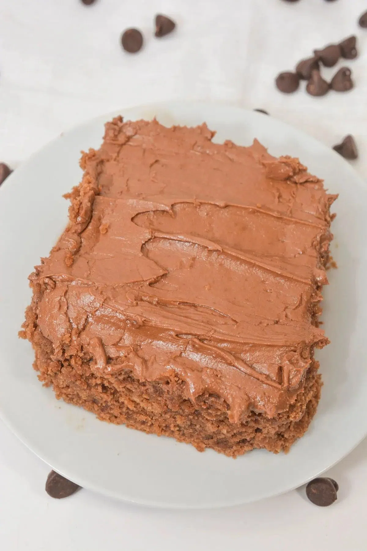 Cocoa Mayonnaise Cake
