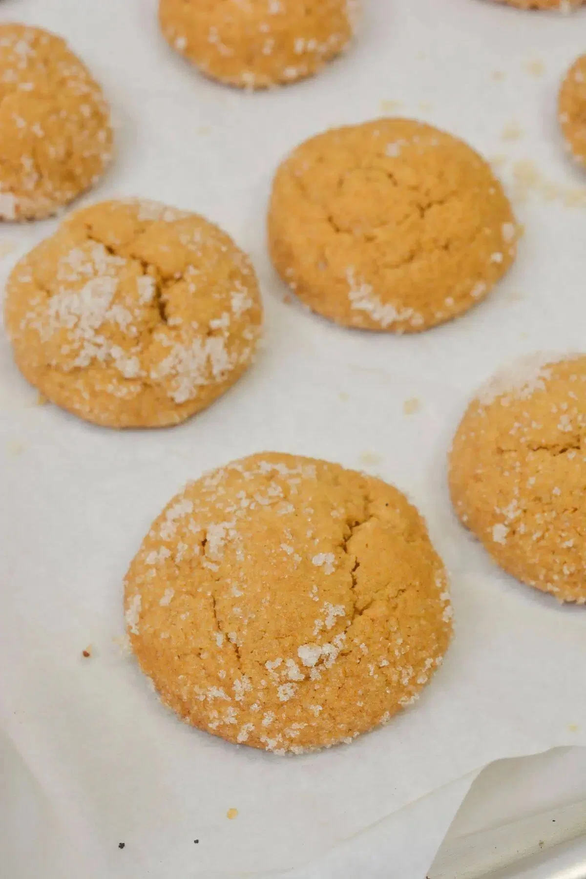 Ginger Molasses Cookies