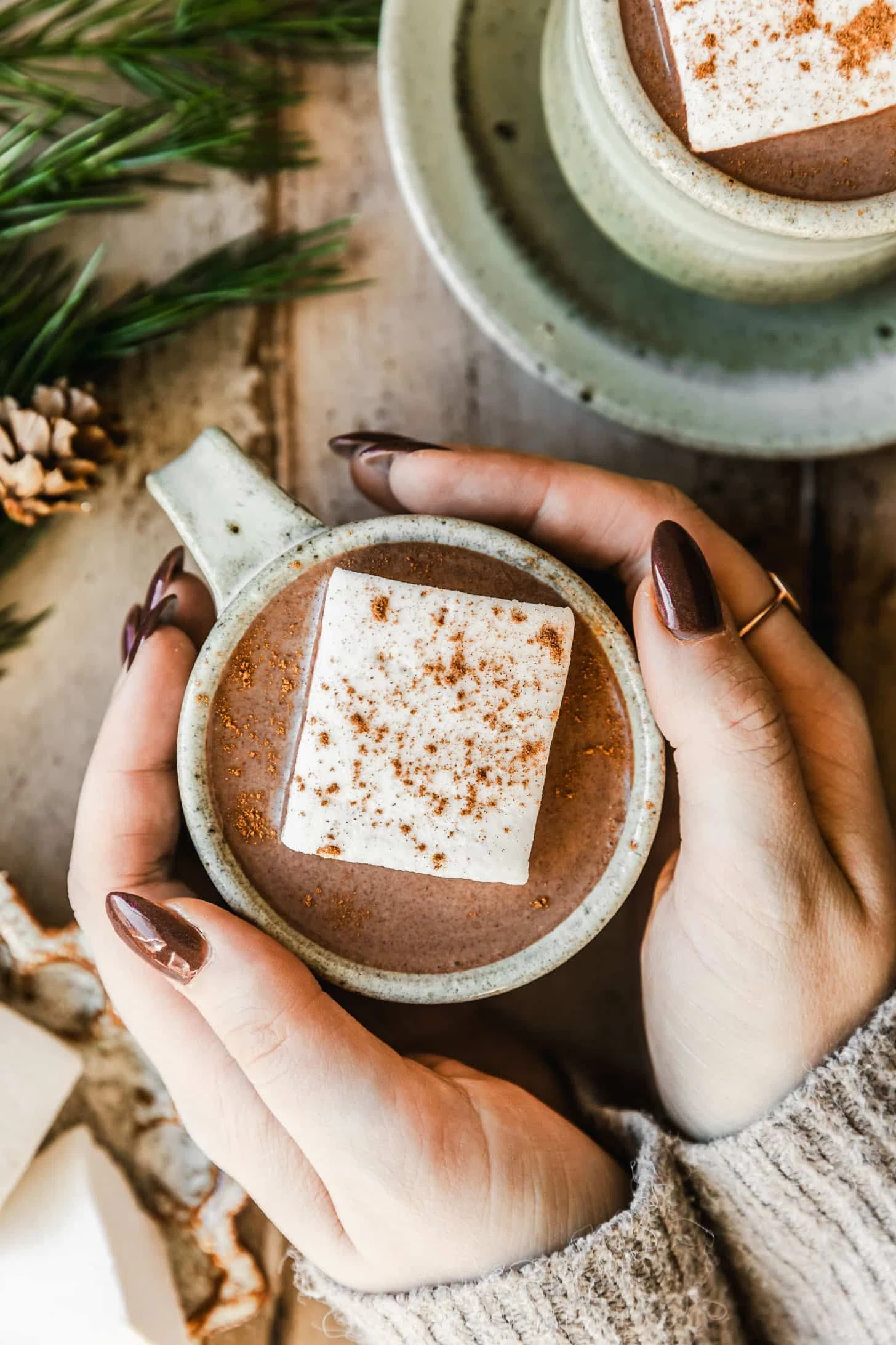 Cinnamon Hot Chocolate
