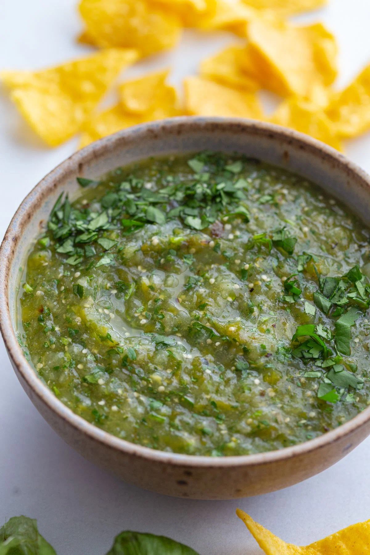 Roasted Salsa Verde Recipe