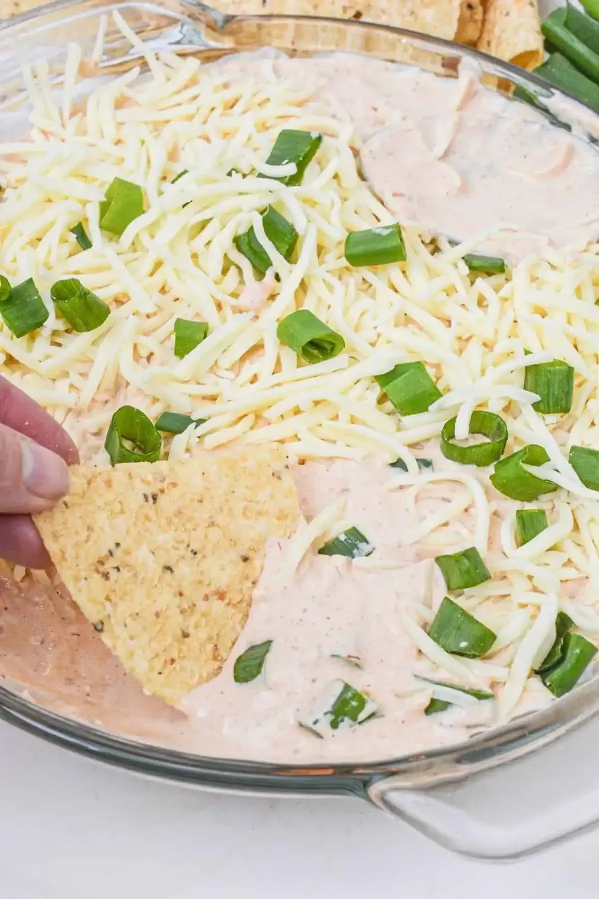 Salsa and Cream Cheese Dip