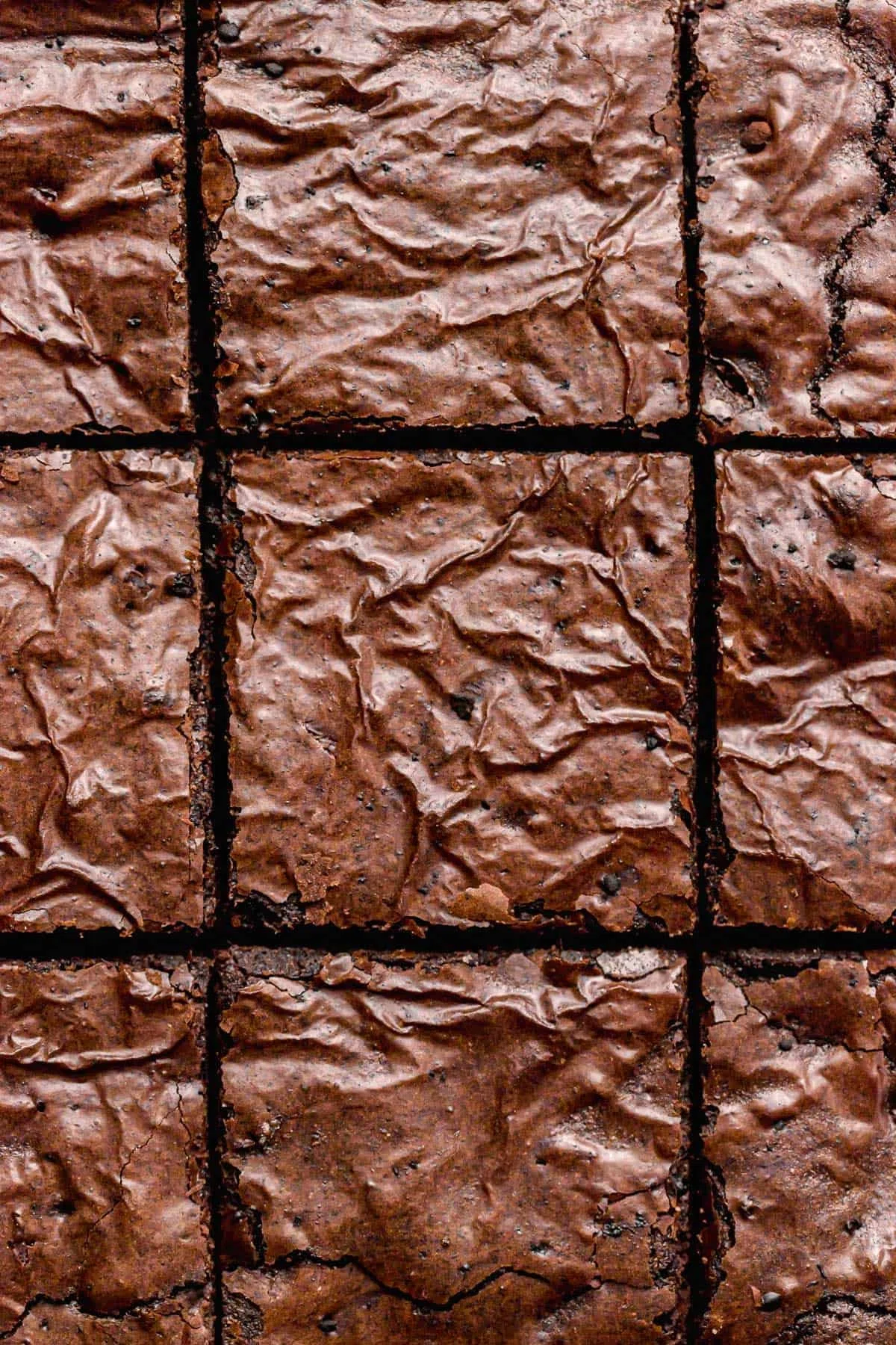 Olive Oil Brownies