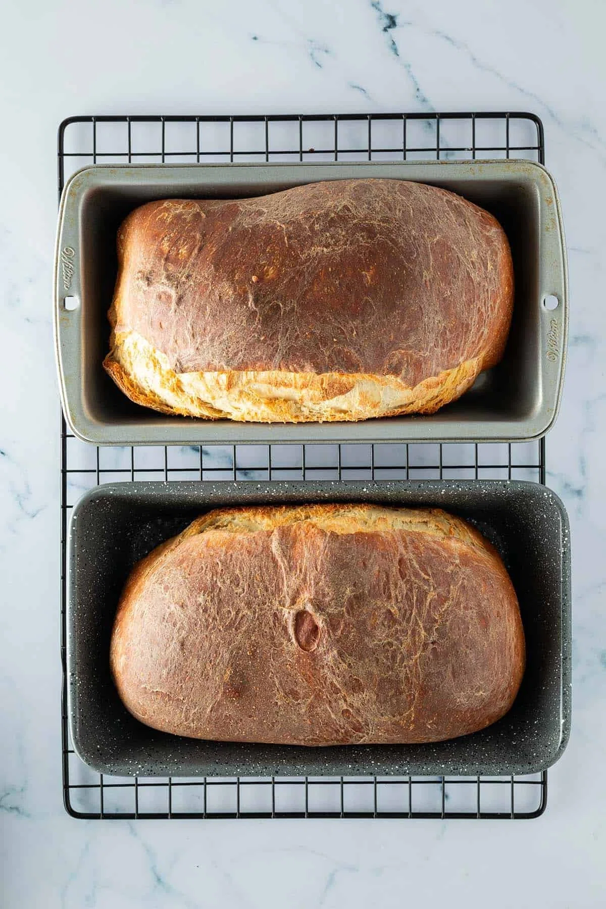 Homemade High-Protein Toast Bread