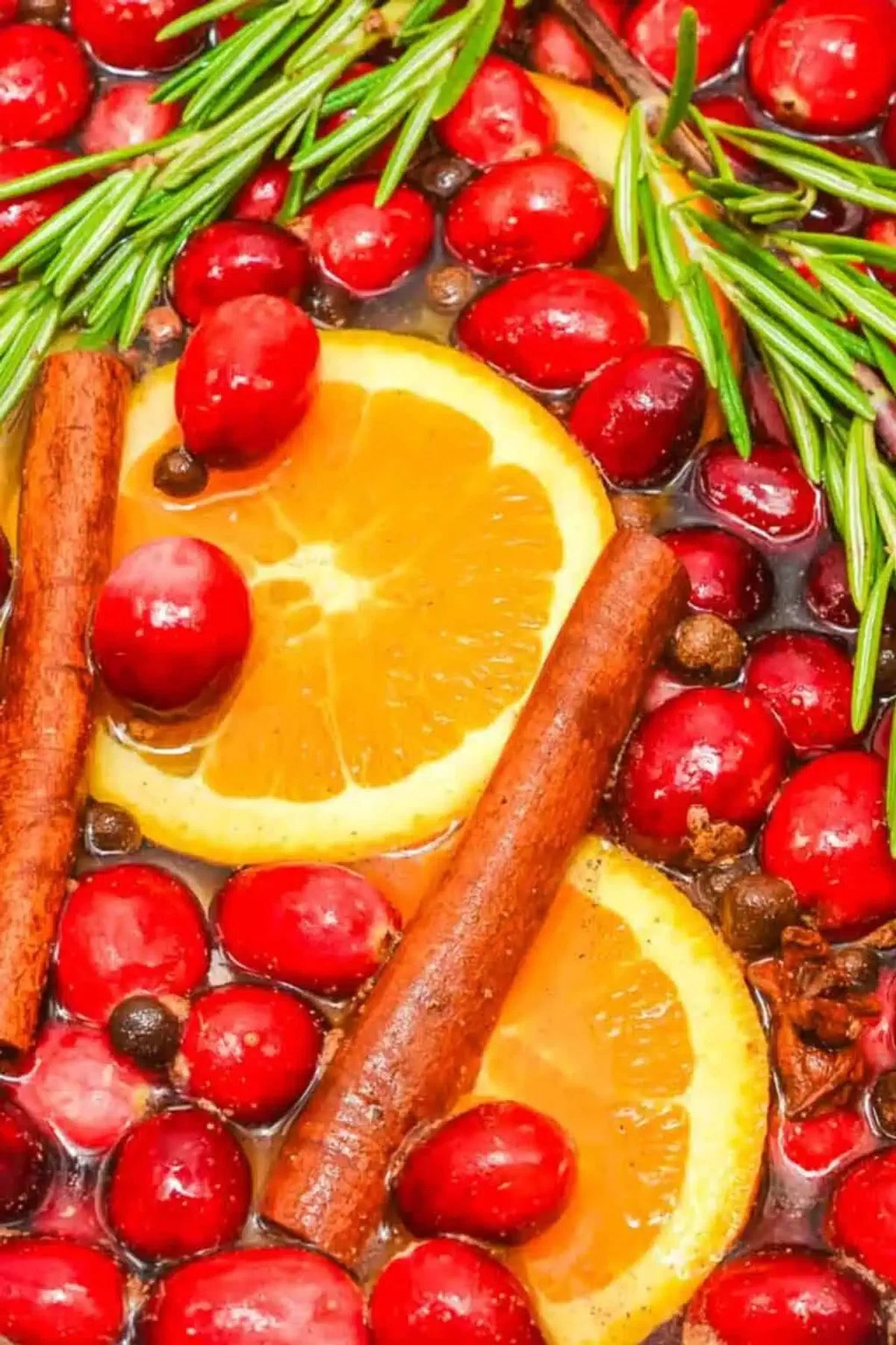 Christmas Simmering Pot