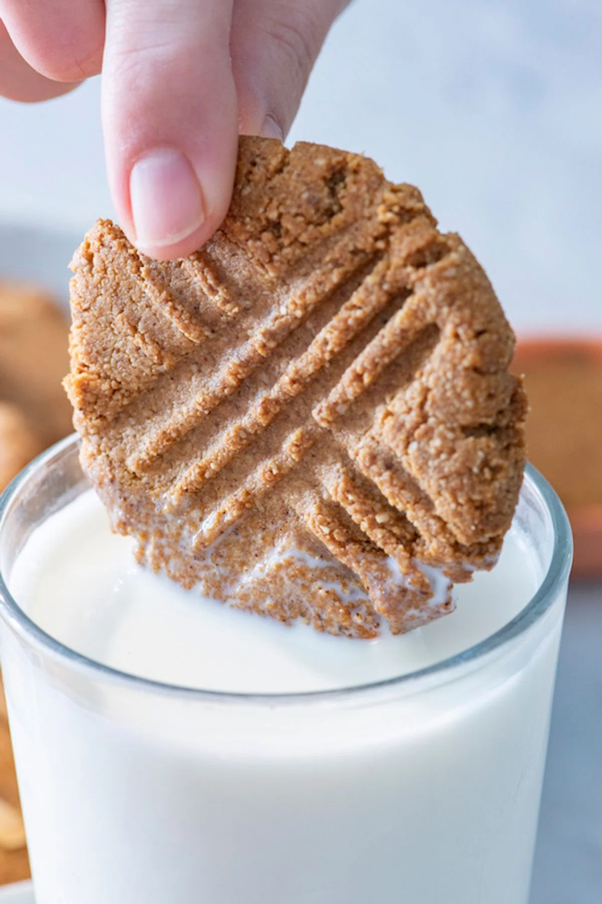 Vegan Almond Cookies