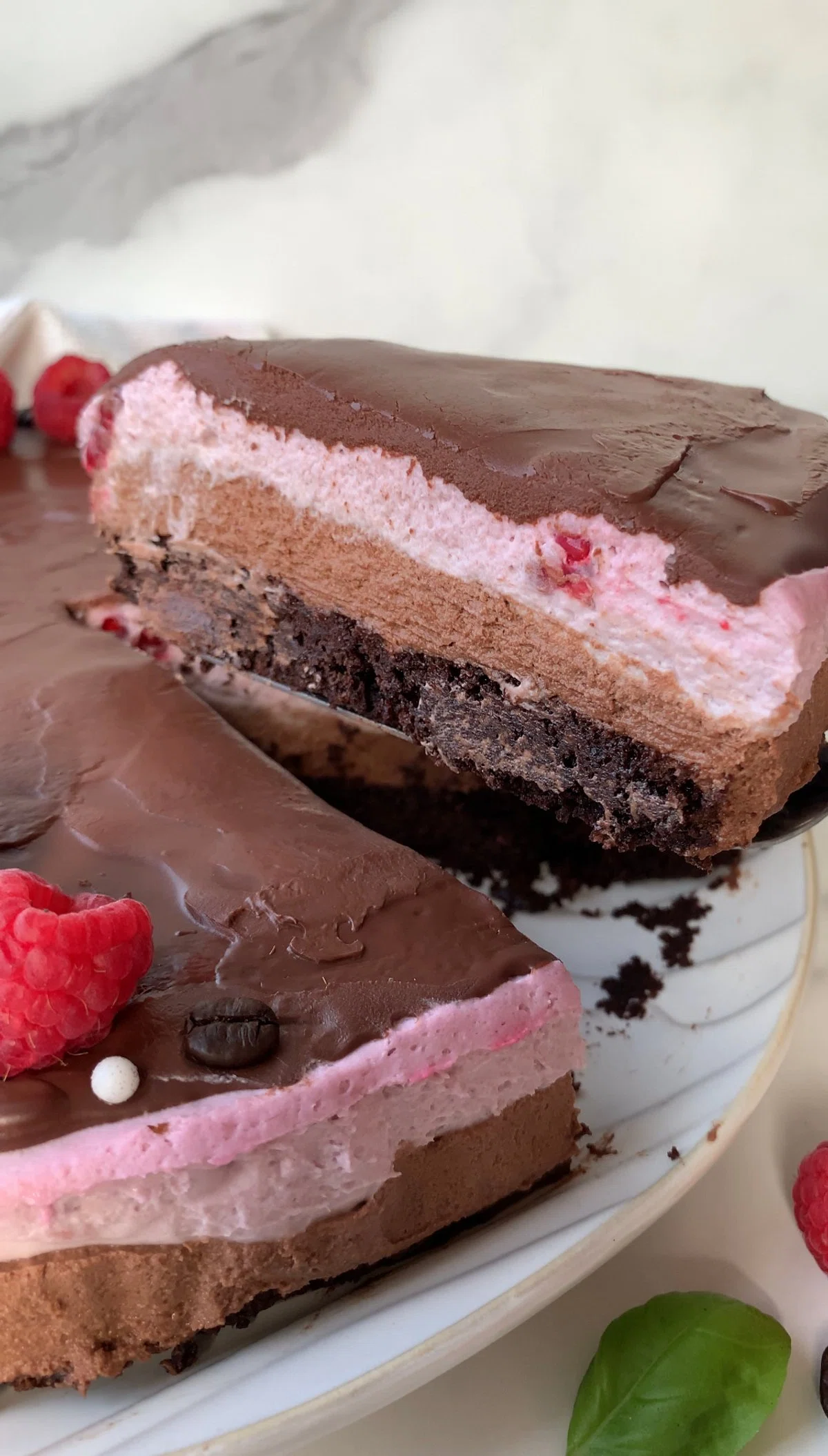 Raspberry Mocha Mousse Cake