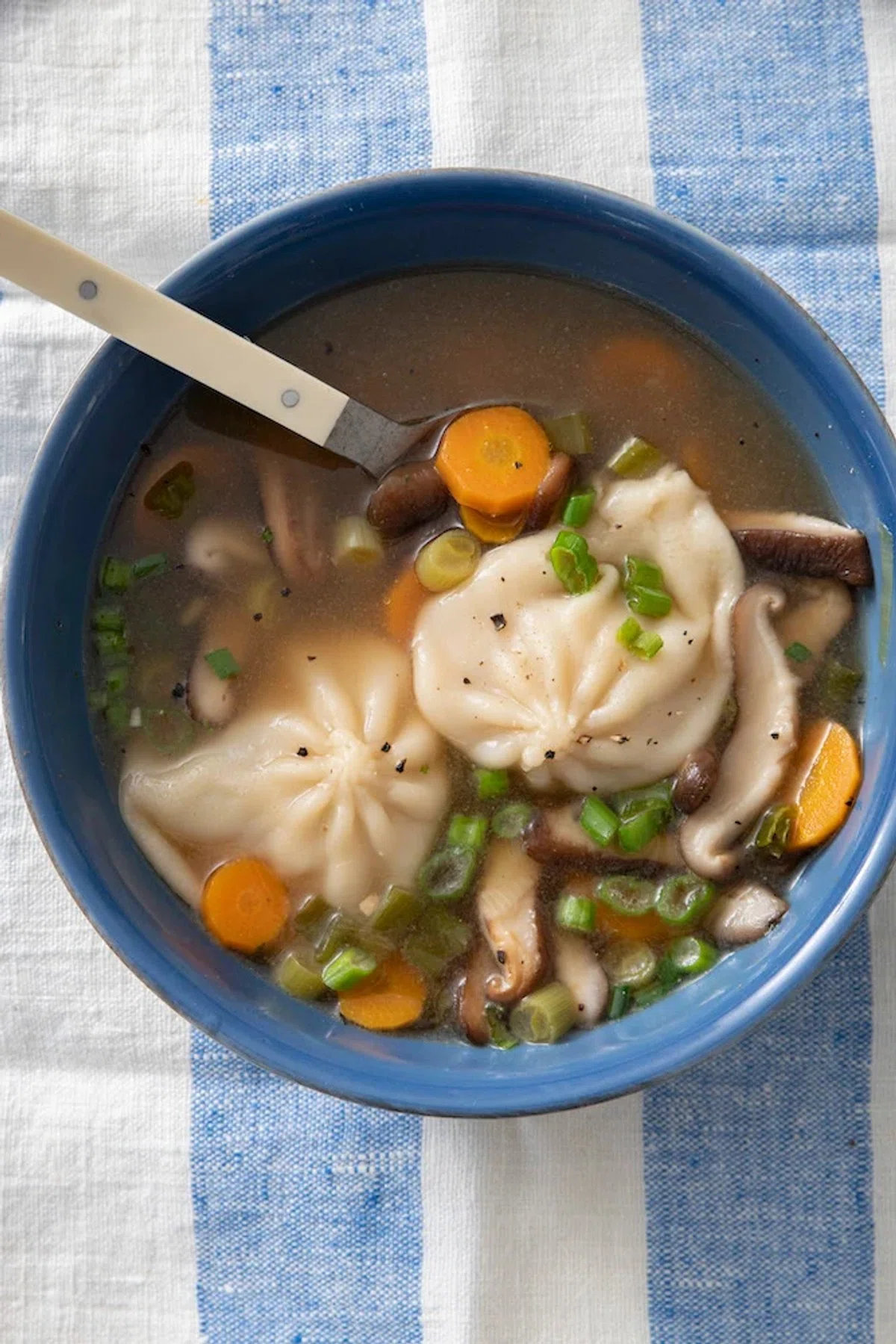 Dumpling Soup