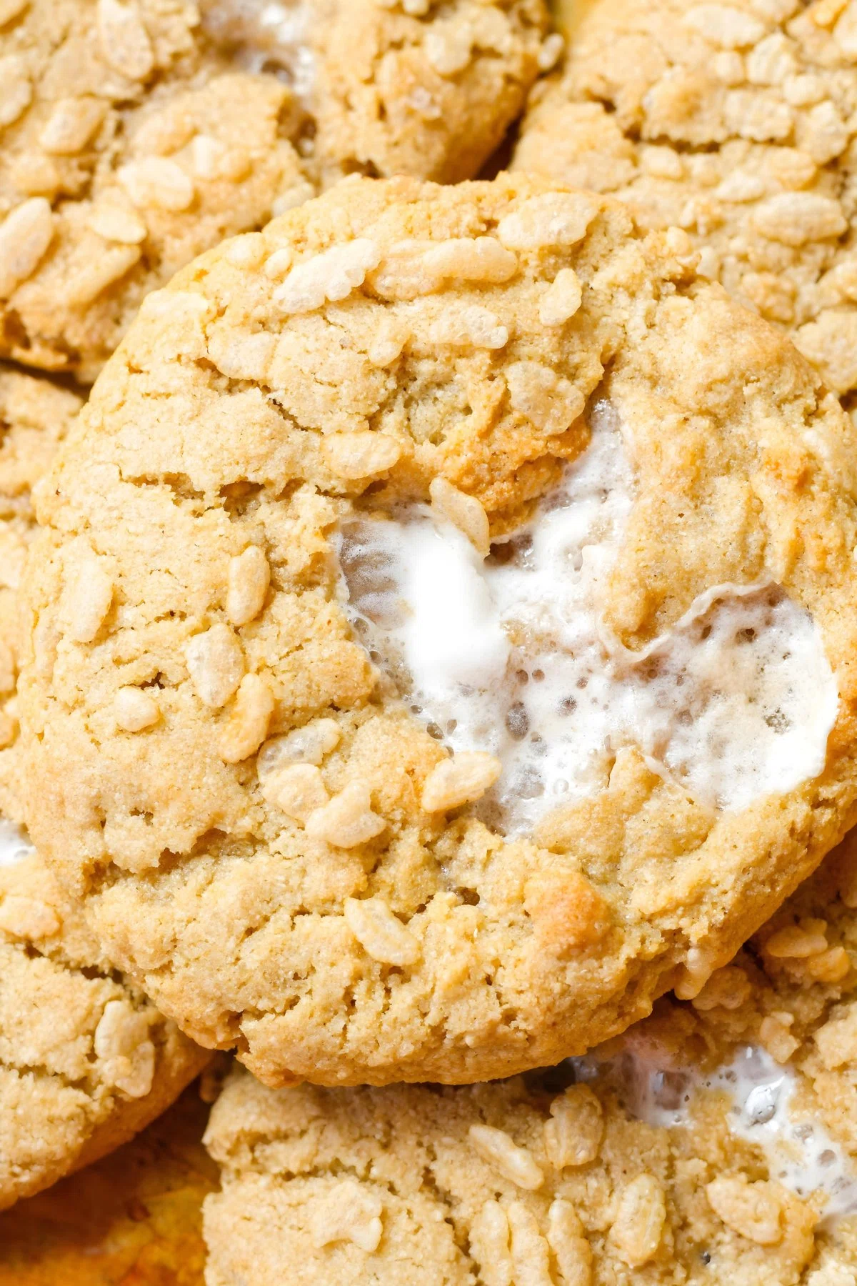 Rice Krispie Cookies
