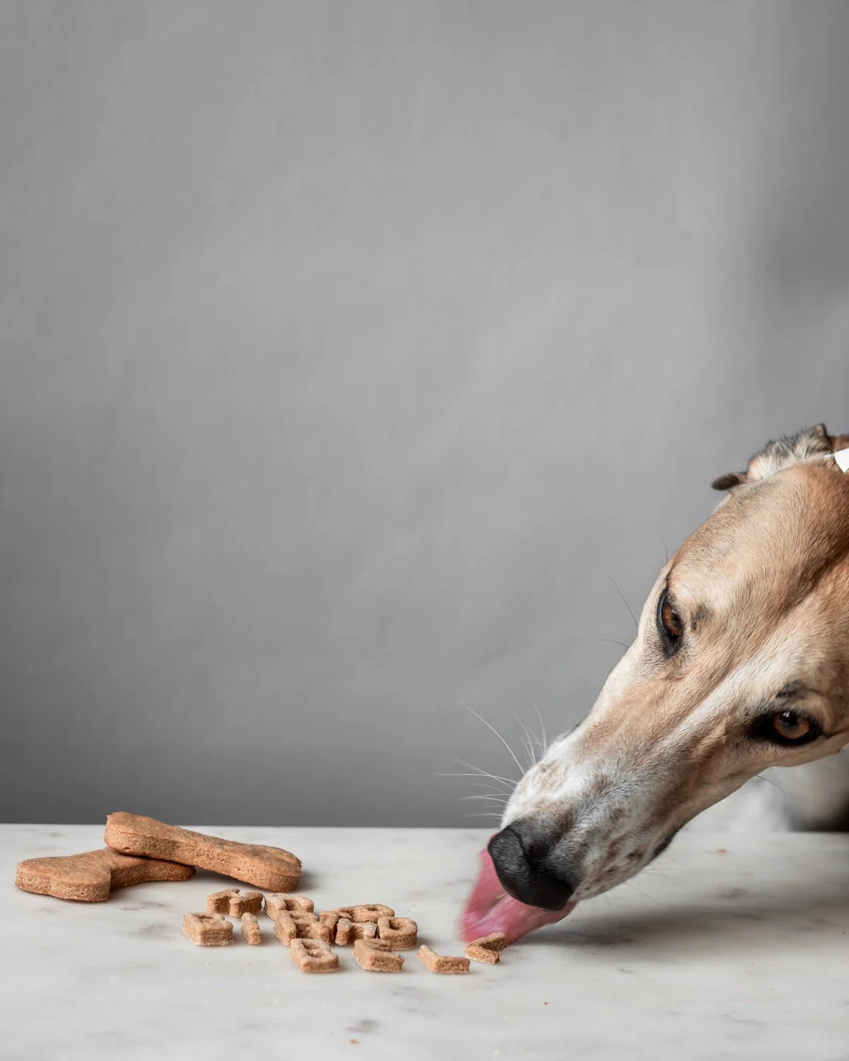 Homemade Peanut Butter Dog Cookies