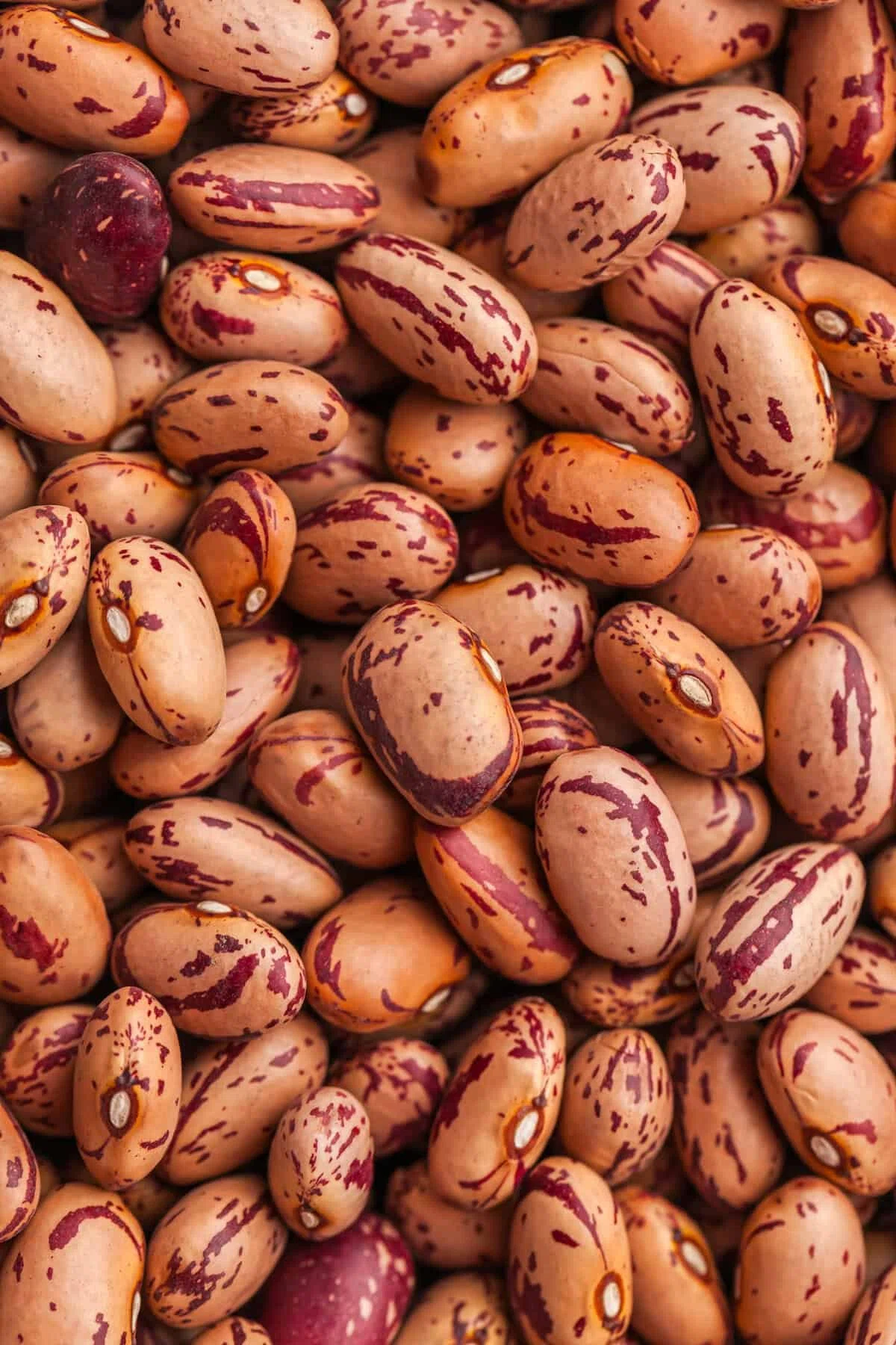 Cranberry Beans (Brothy Borlotti Bean Recipe)