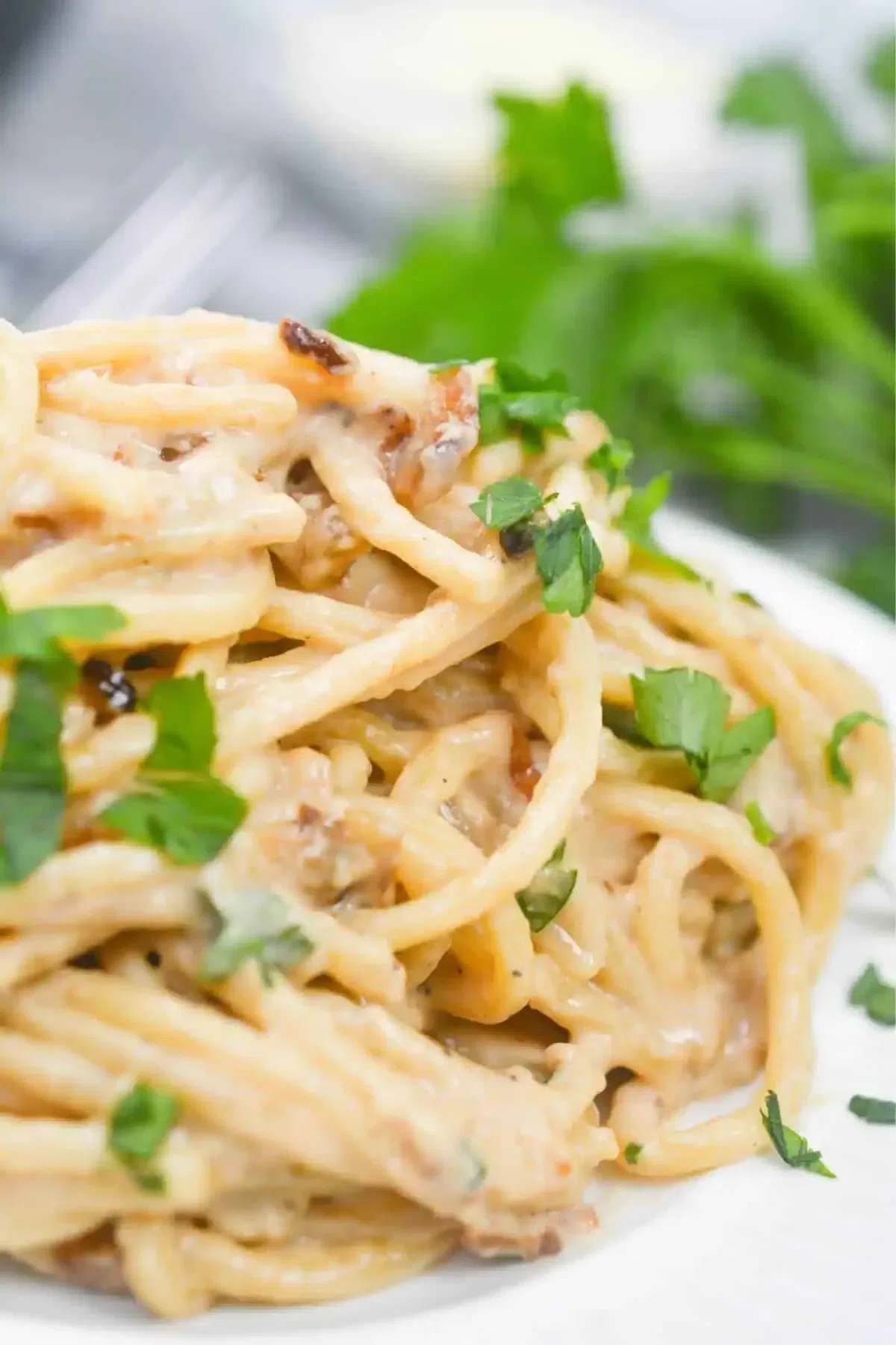 Caramelized Onion Pasta