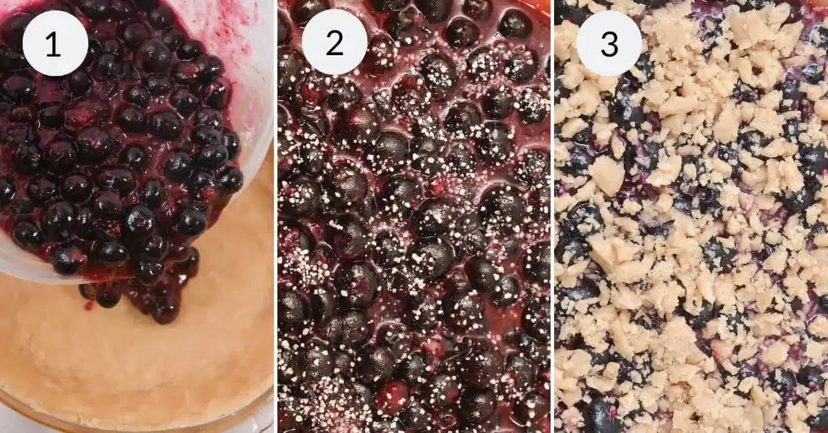 Blueberry Crumb Cake