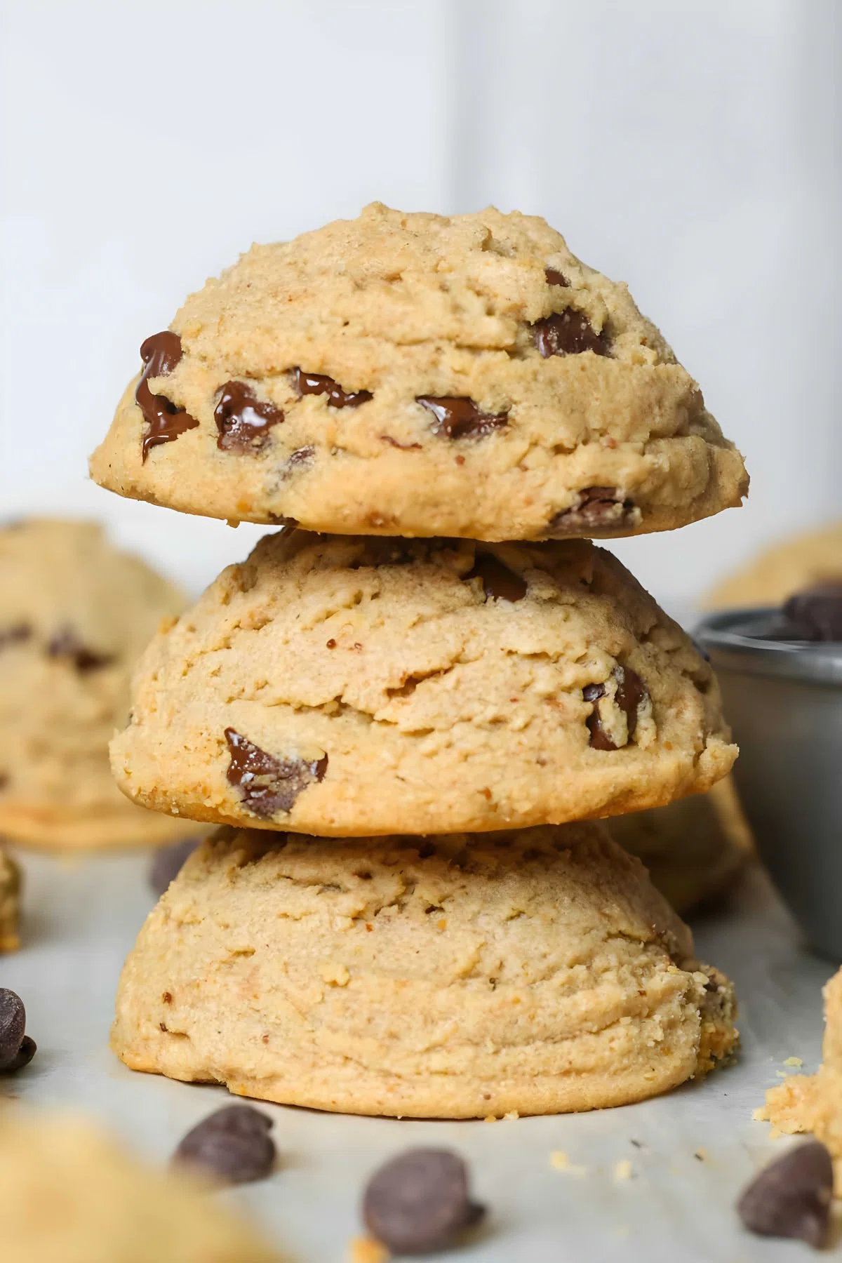 Peanut Butter Chocolate Chip Cookies
