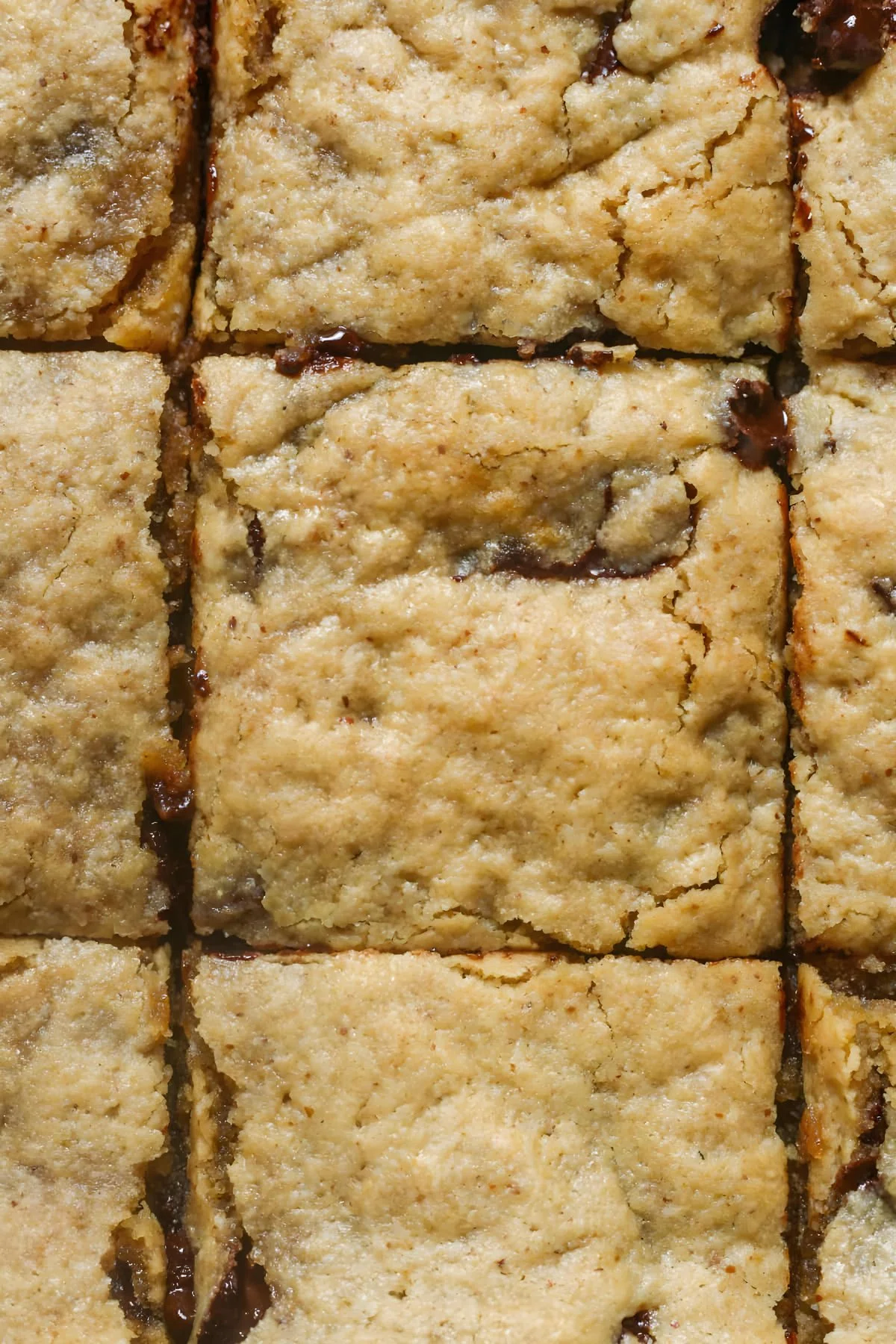 Paleo Bars