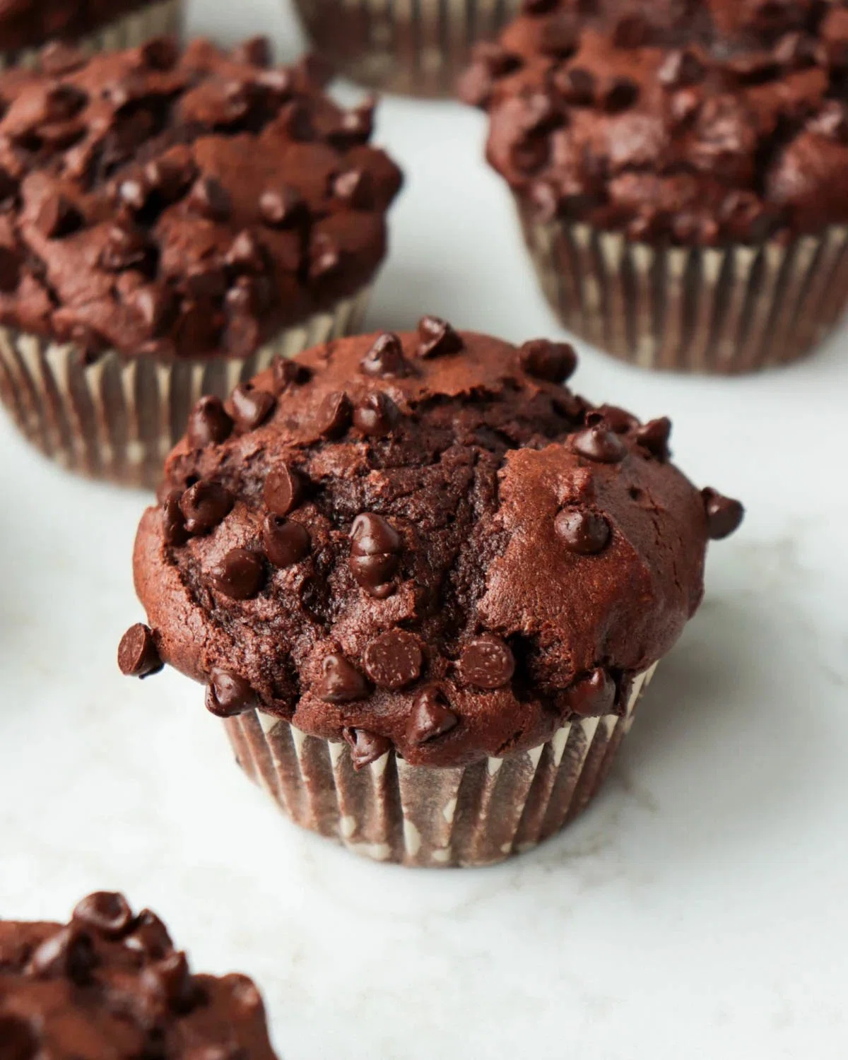 Double Chocolate Muffins