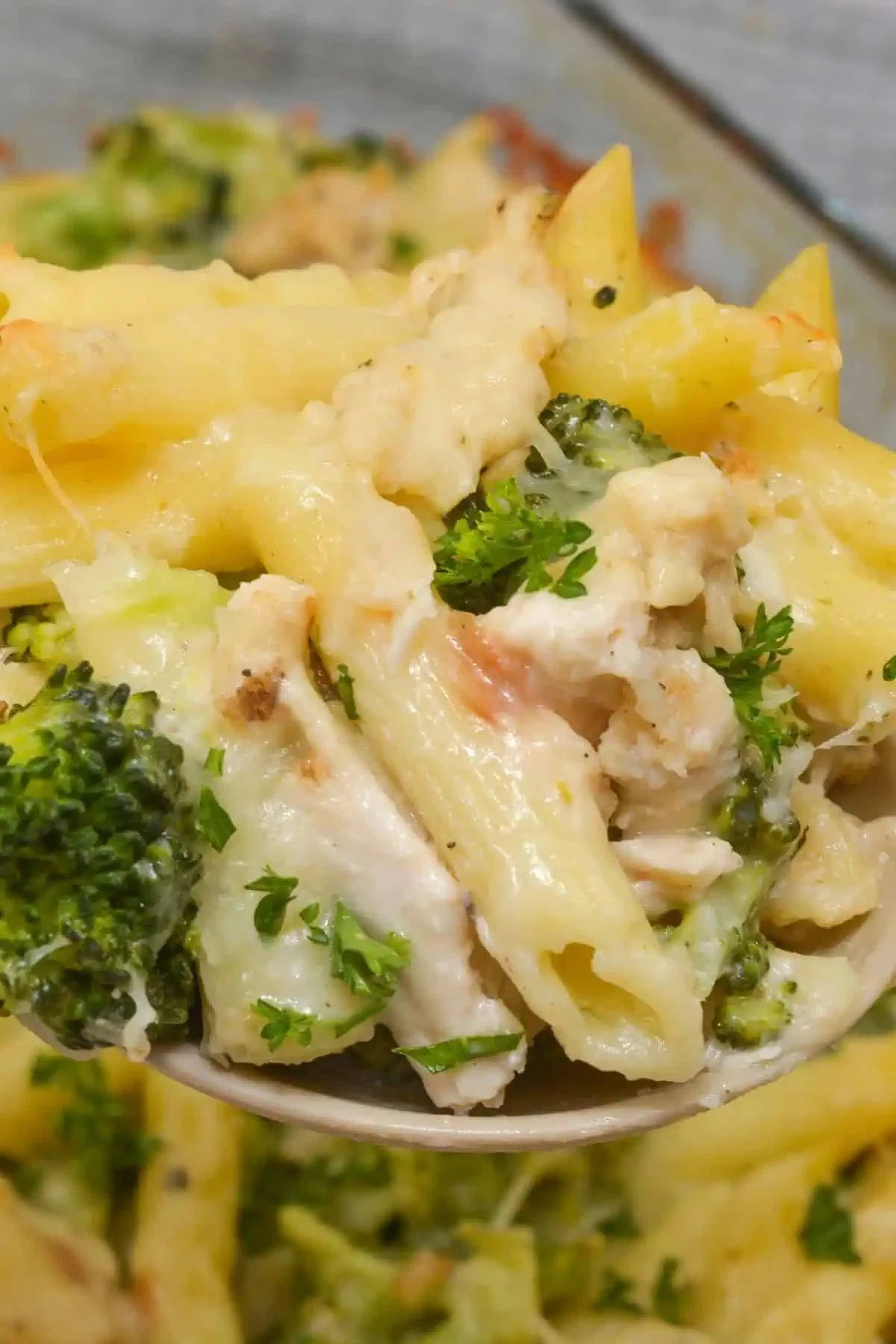 Baked Chicken and Broccoli Alfredo