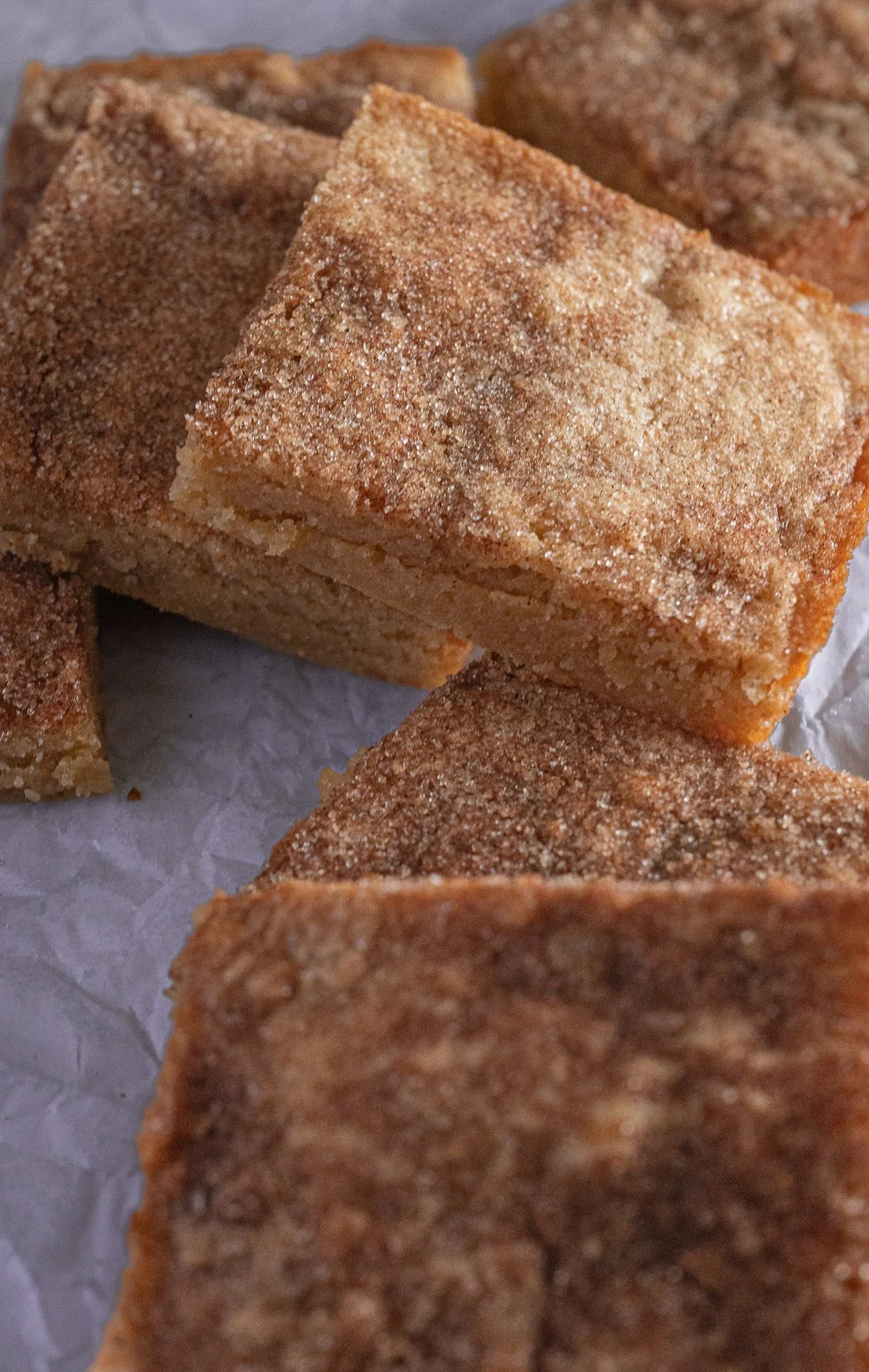 Brown Butter Snickerdoodle Blondies
