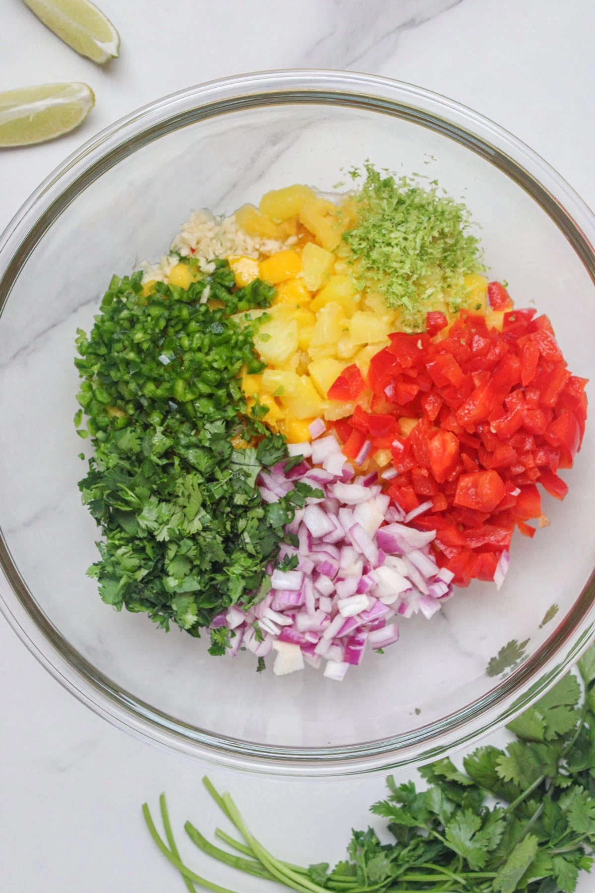 Mango Pineapple Salsa