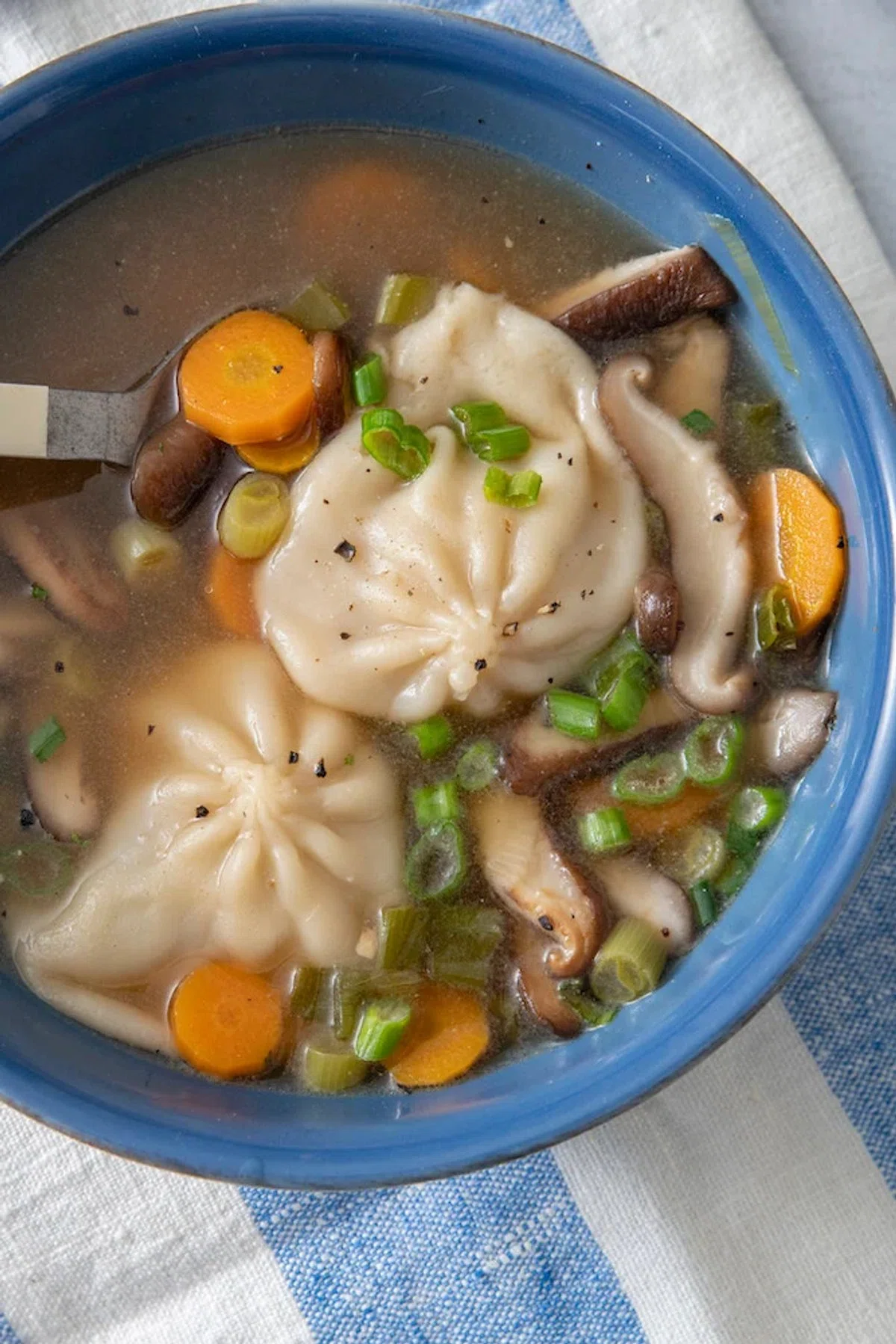 Dumpling Soup