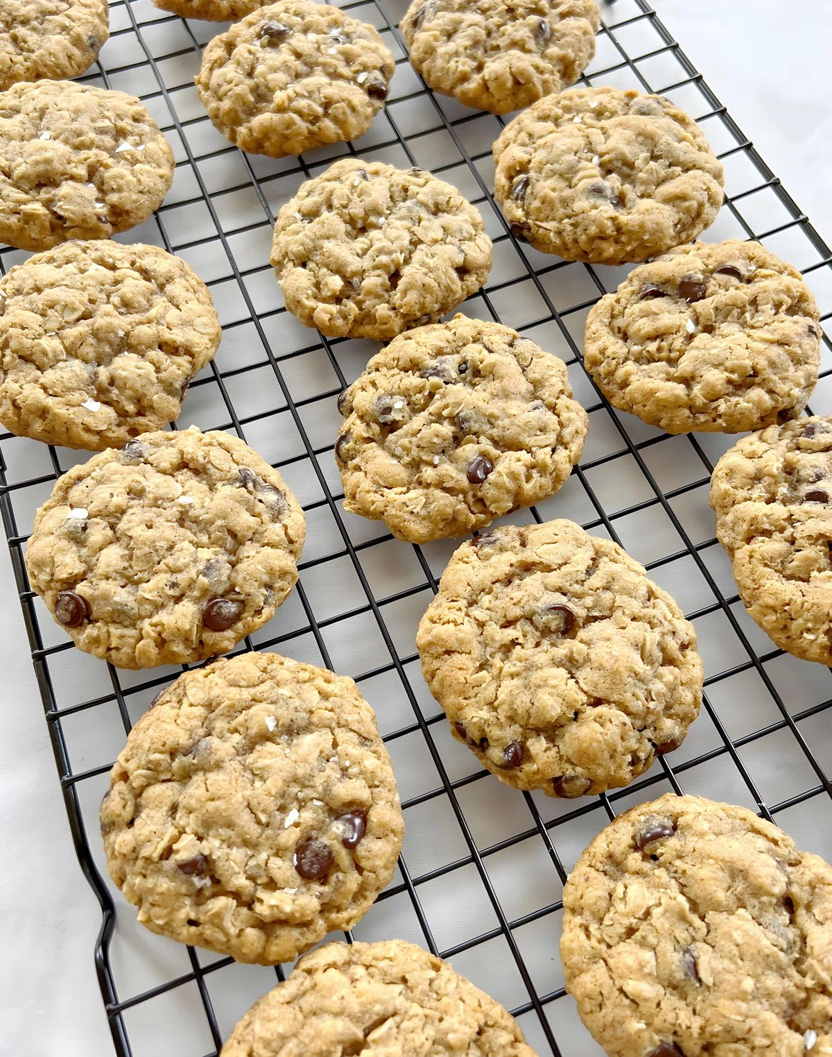 Dairy Free and Egg Free Oatmeal Cookies