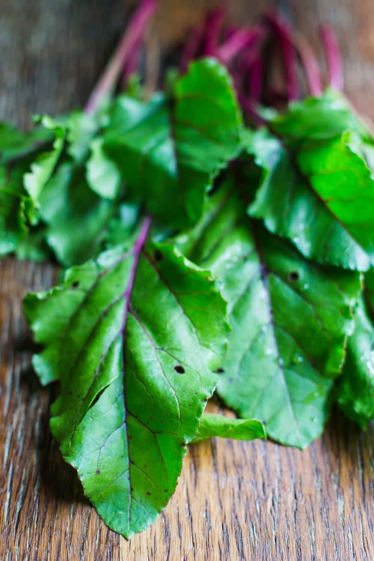 Beet Greens Pesto