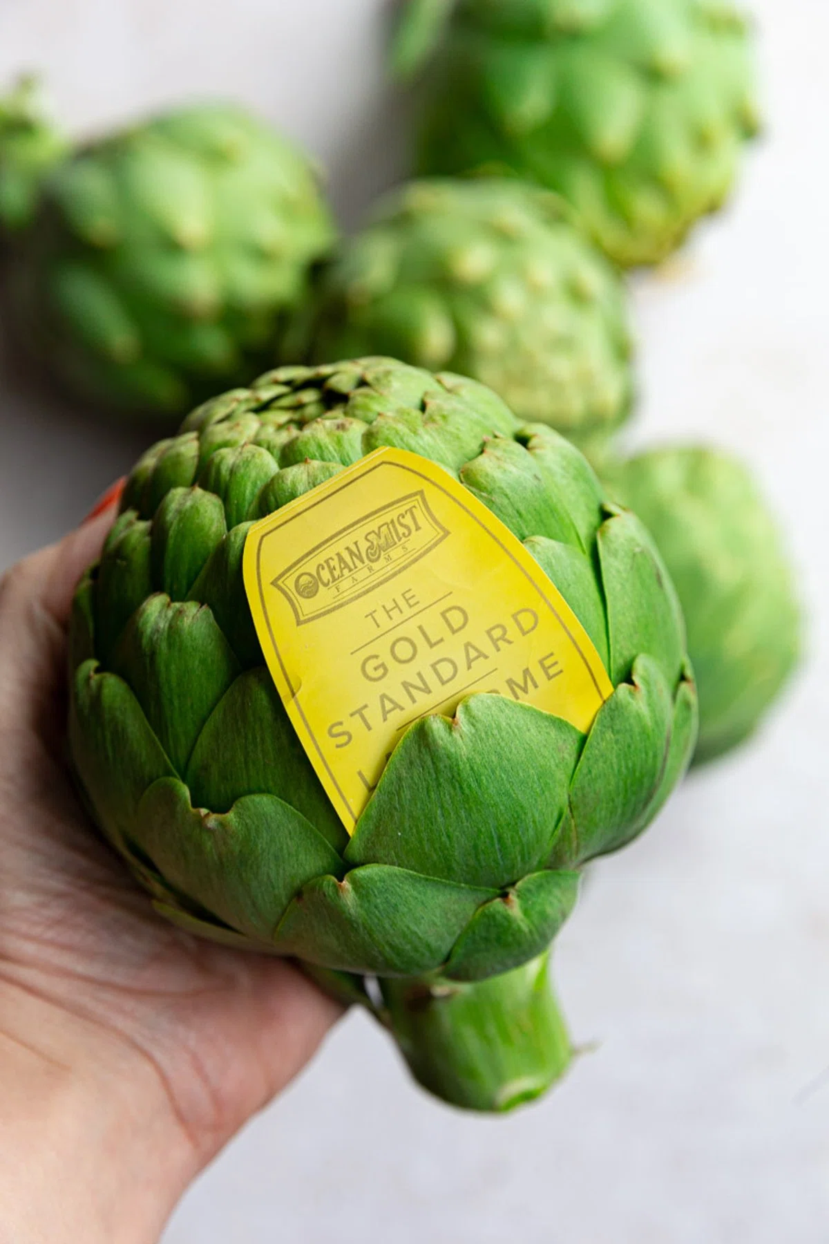 Roman Artichokes