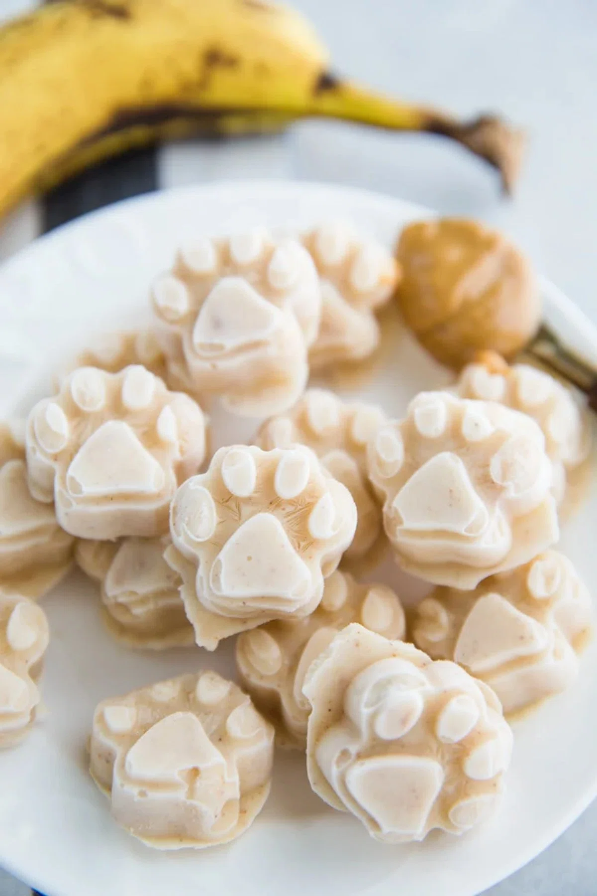 Homemade Dog Ice Cream