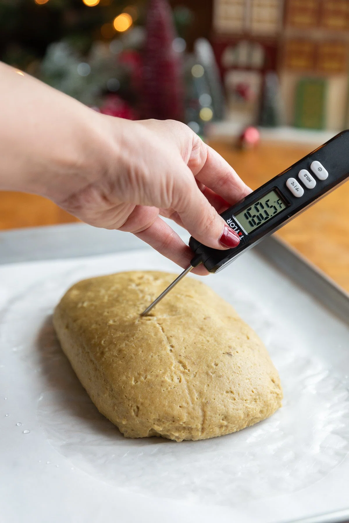 Stuffed Vegan “Turkey”