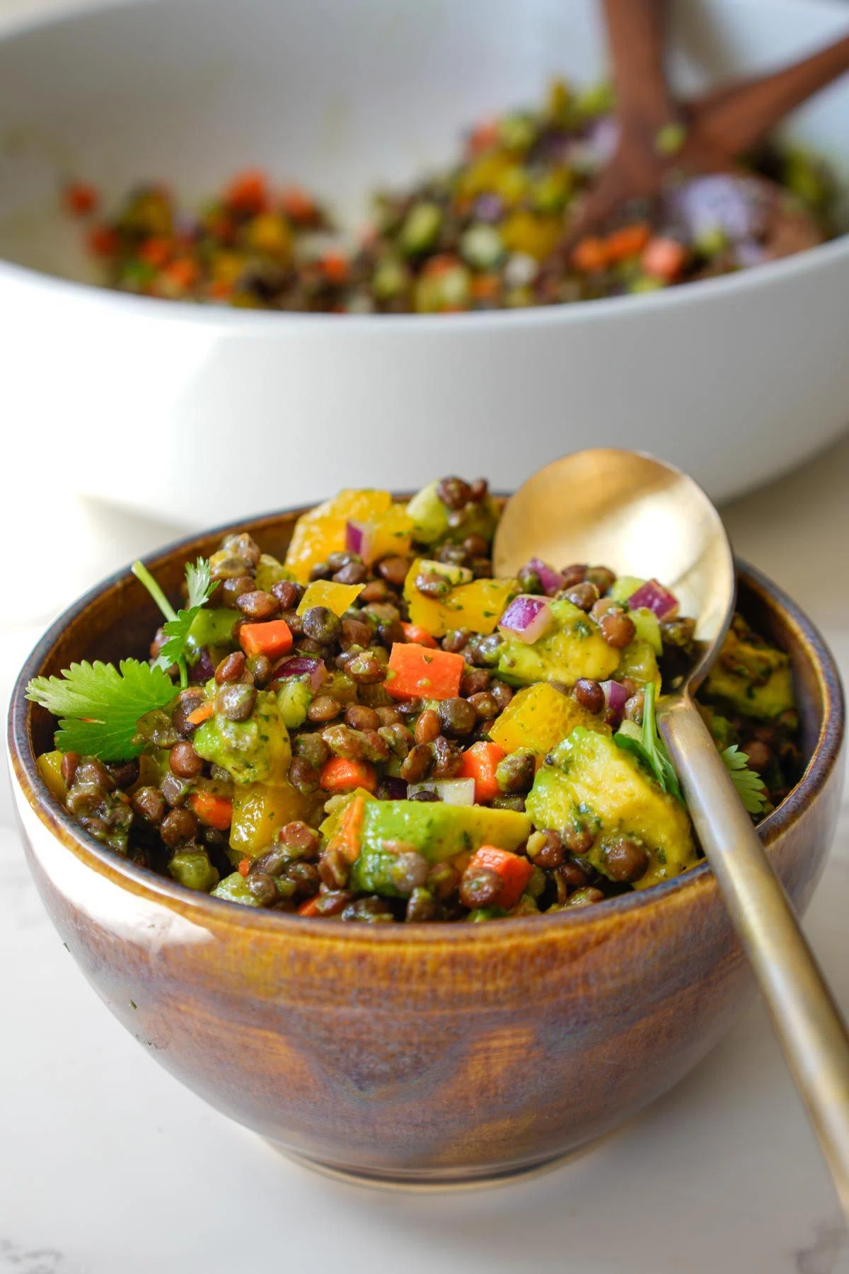 Easy Cold Lentil Salad with Cilantro Curry Vinaigrette