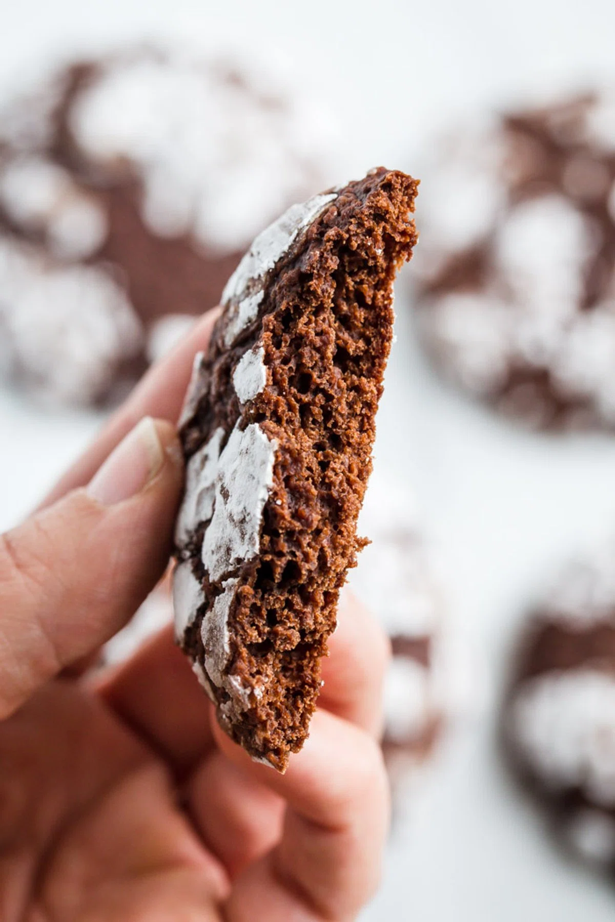 Chocolate Crinkle Cookies