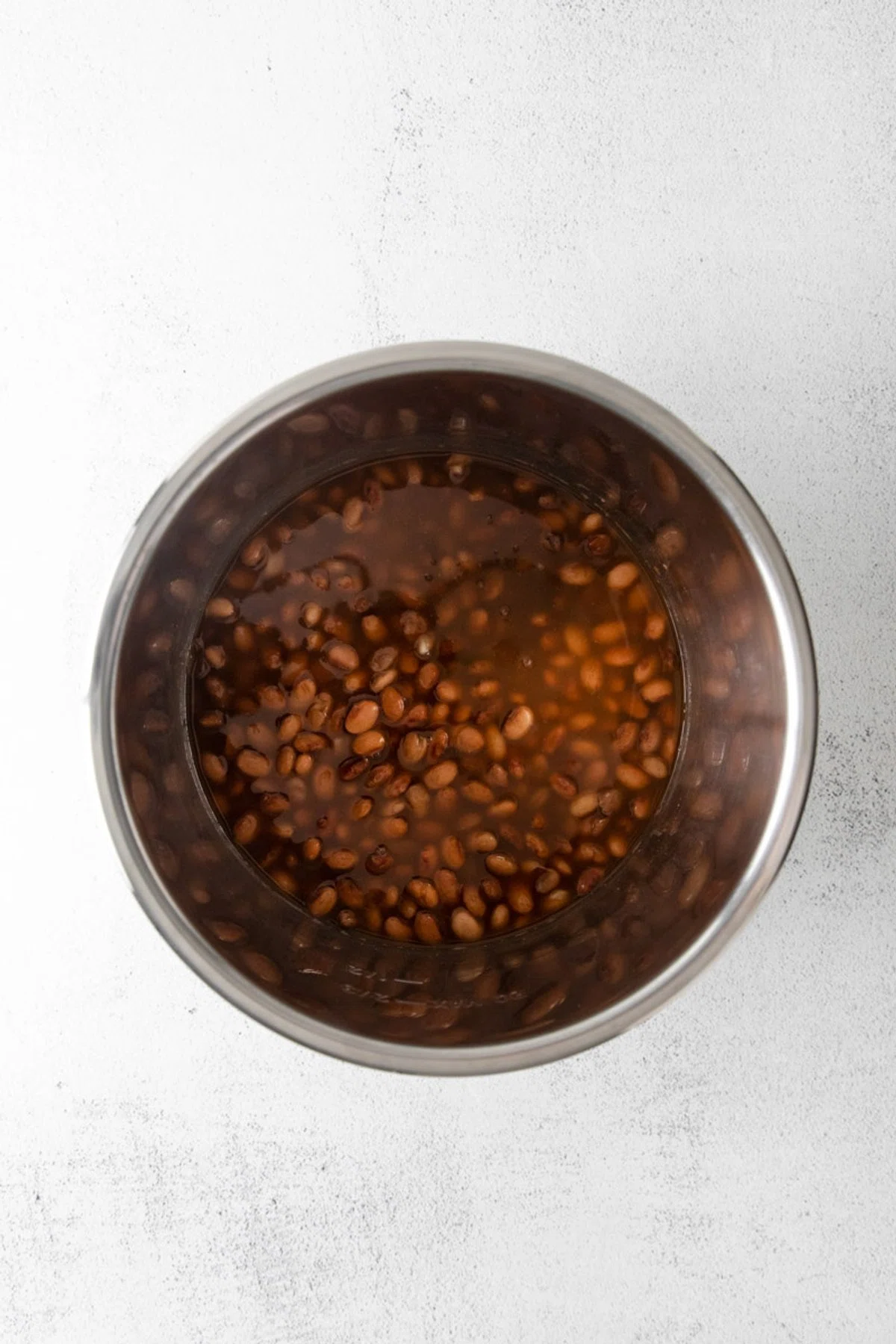 Instant Pot Pinto Beans