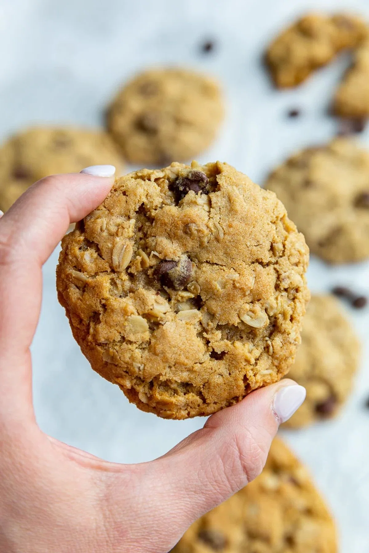 Thick & Chewy Vegan Oatmeal Cookies