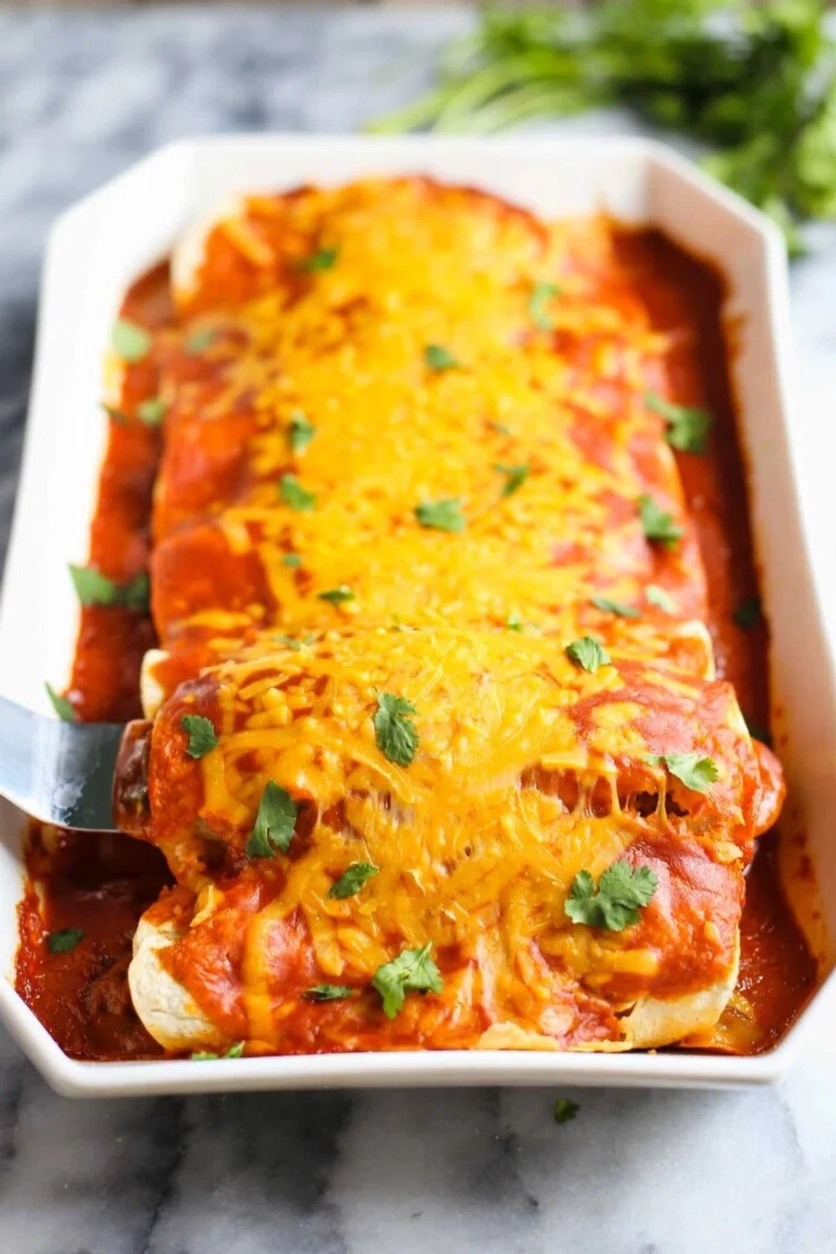 Veggie Vegan Enchiladas