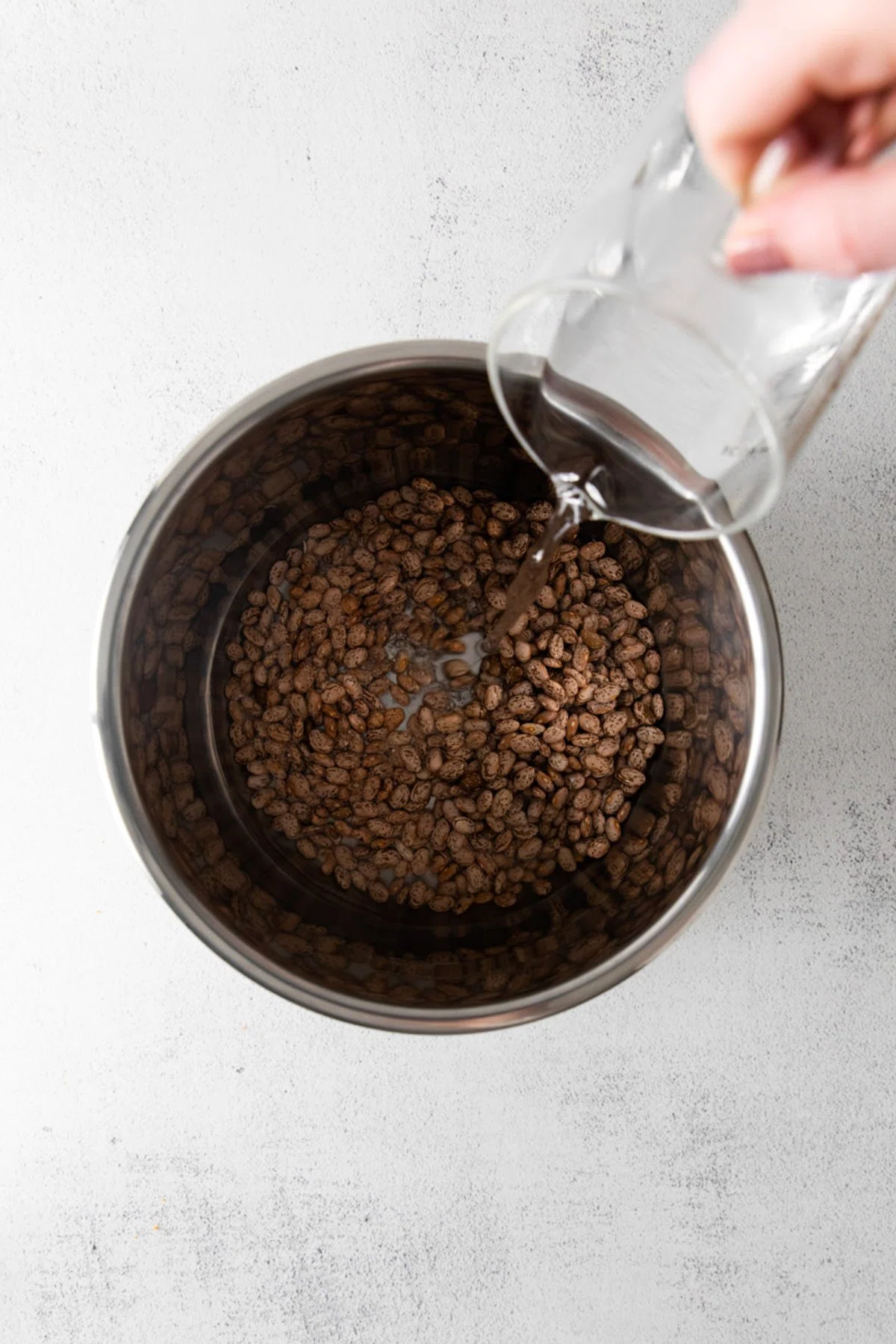 Instant Pot Pinto Beans