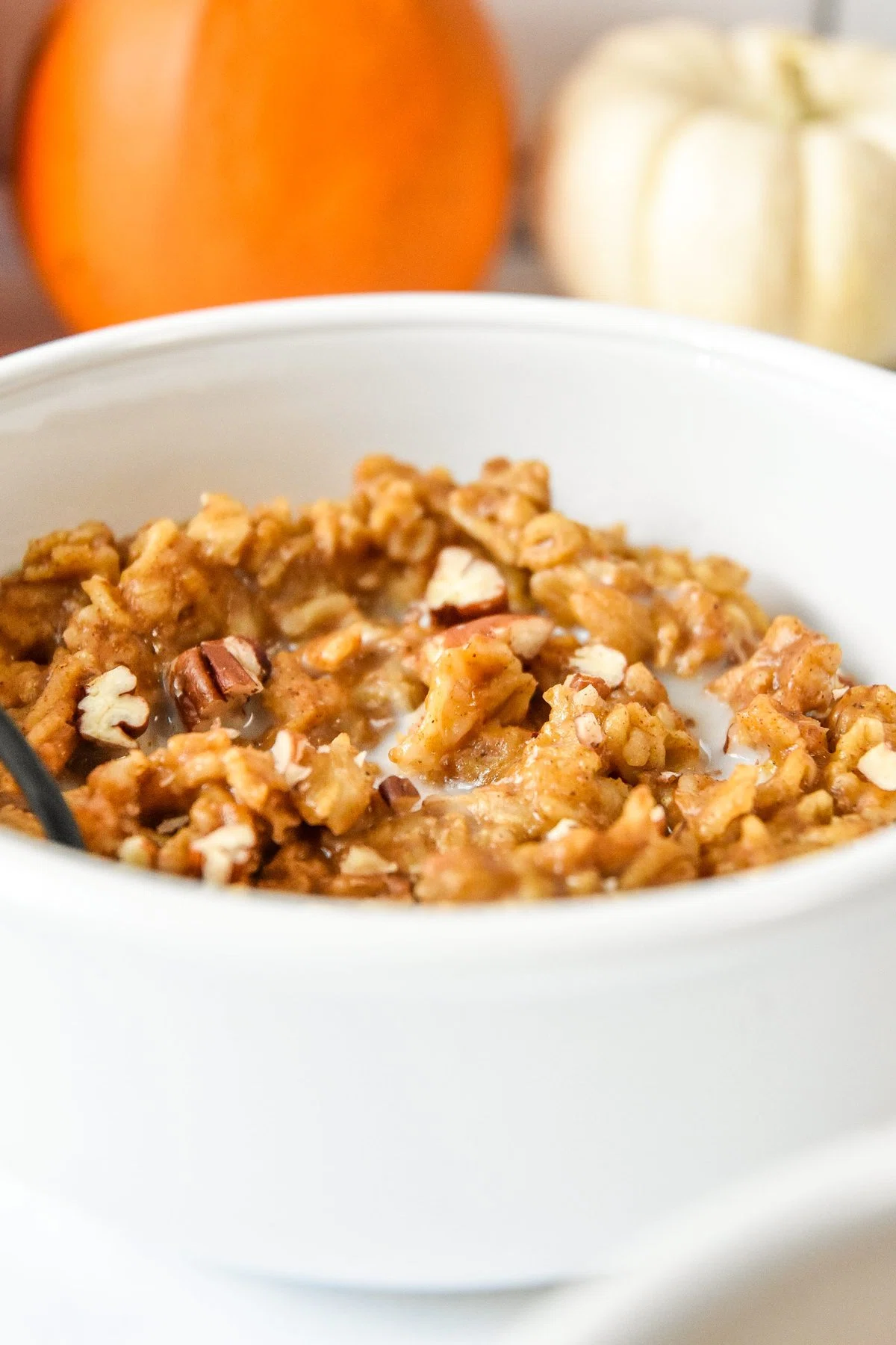 Instant Pot Pumpkin Spice Oatmeal