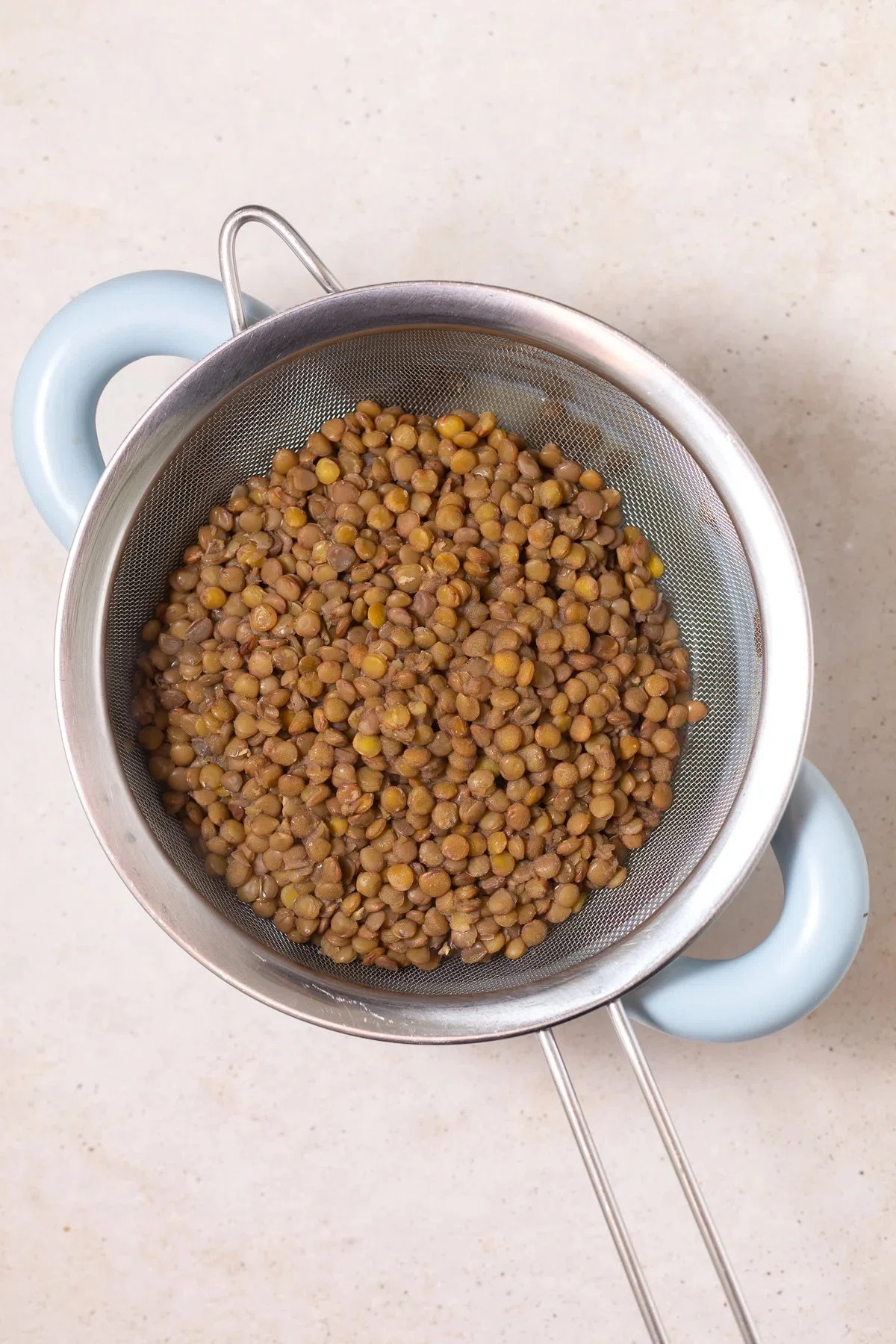 Lentil Salad with Warm Vegetables