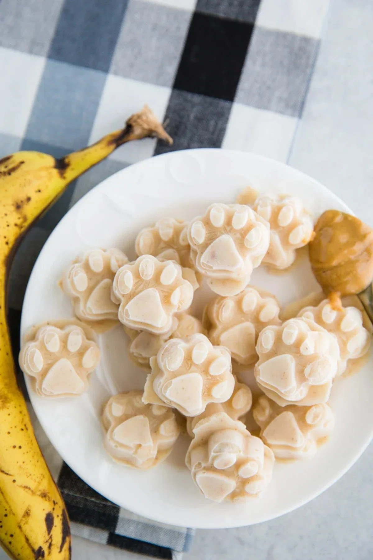 Homemade Dog Ice Cream