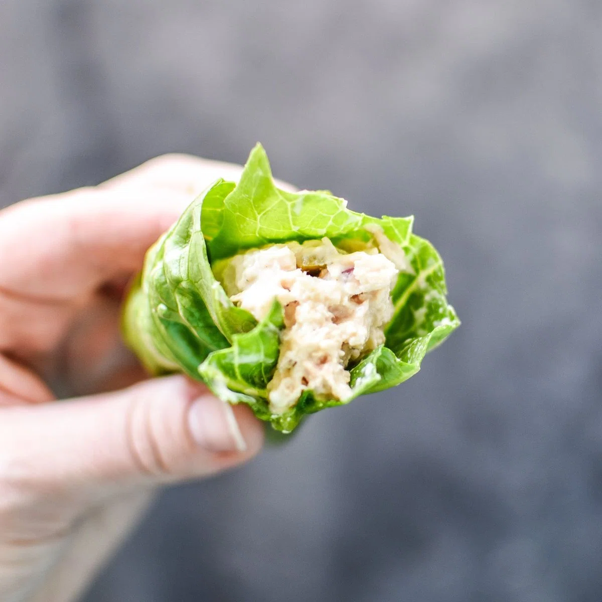 Tuna Salad Lettuce Wraps
