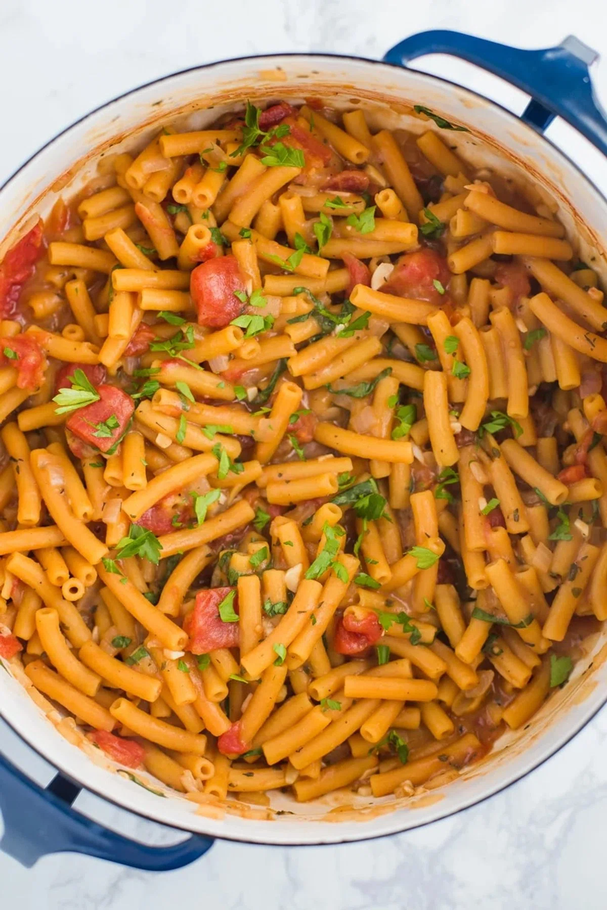 One Pot Lentil Pasta