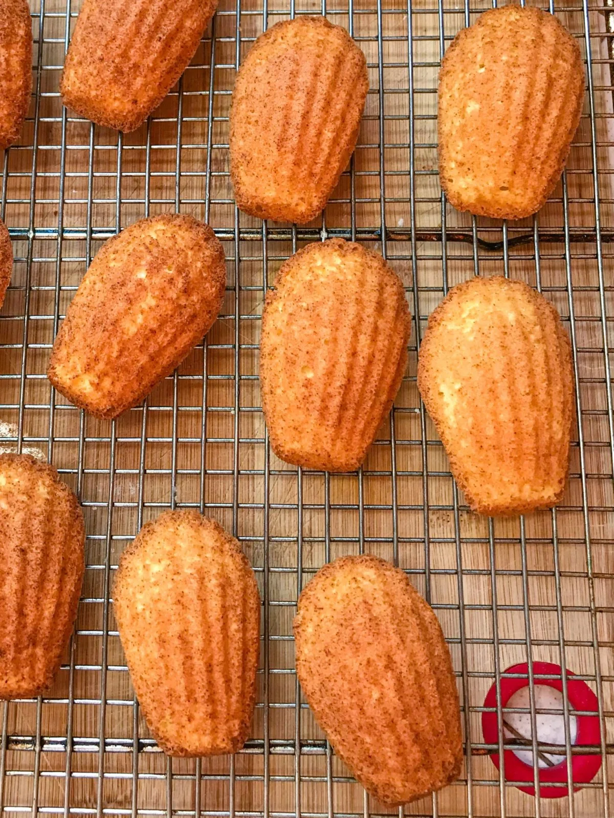 French Citrus Madeleines with Orange Flower Water
