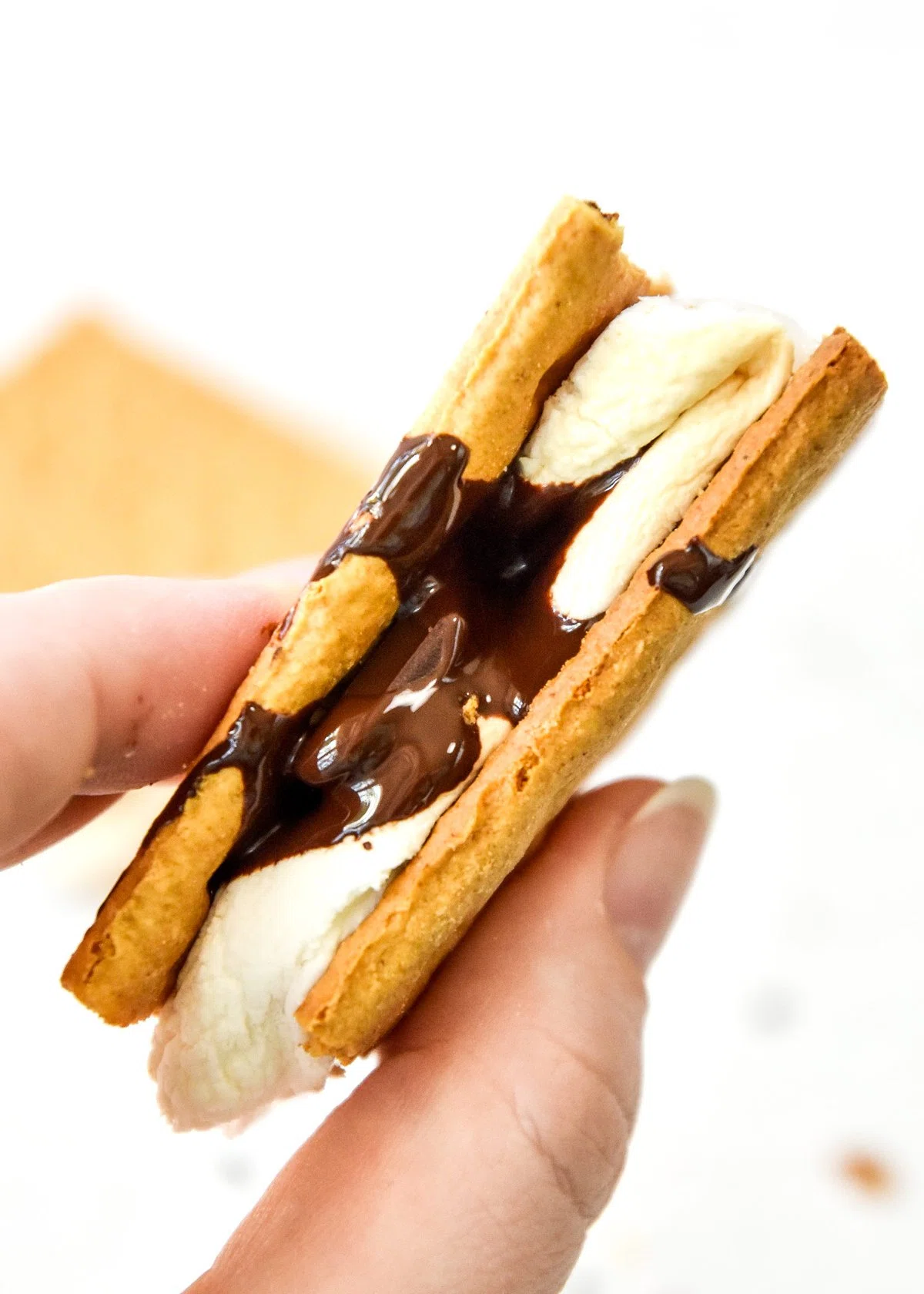 5-Minute Air Fryer S’mores