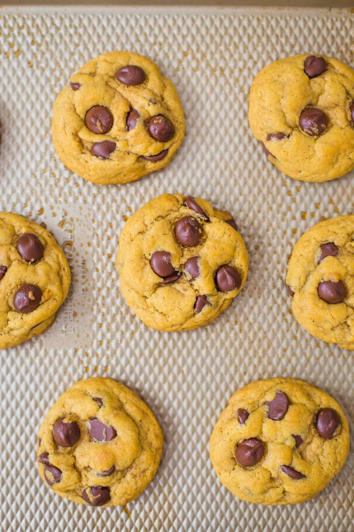 Vegan Pumpkin Chocolate Chip Cookies