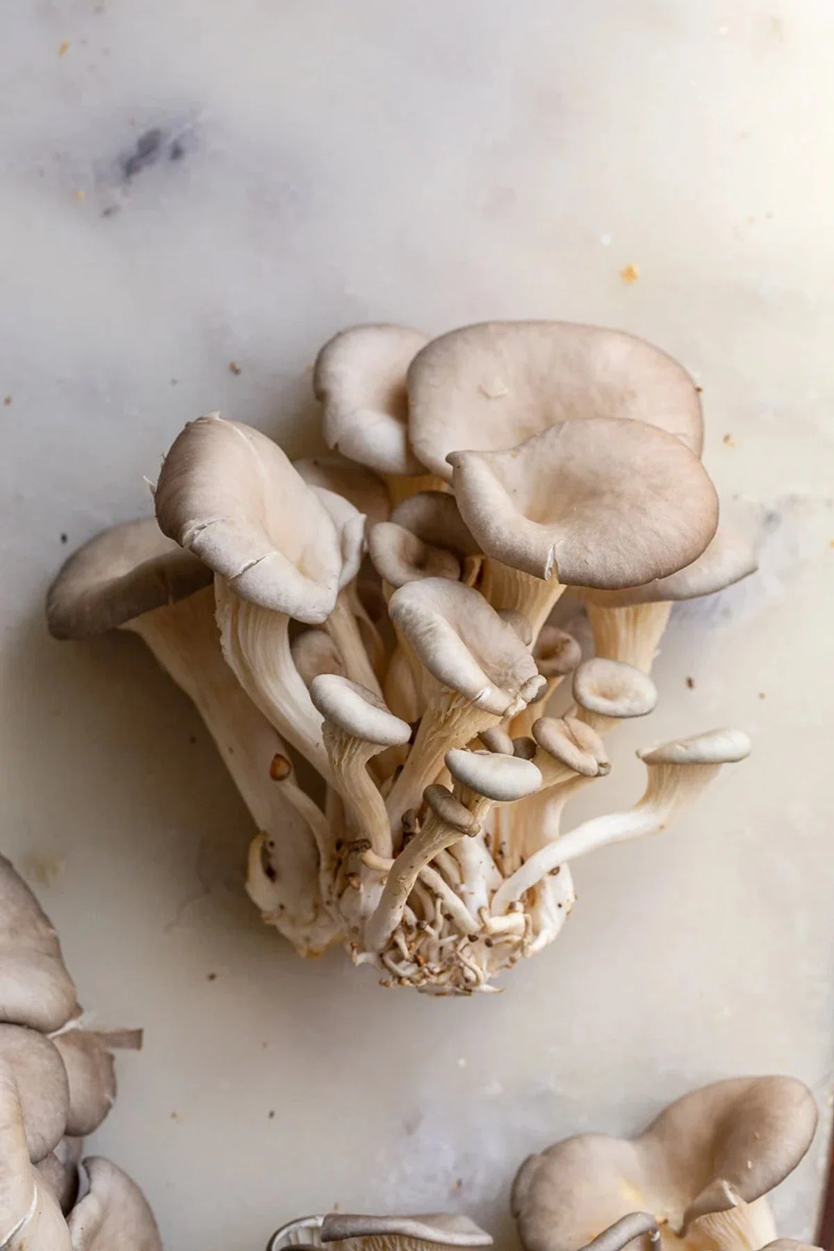 Garlic Butter Oyster Mushrooms
