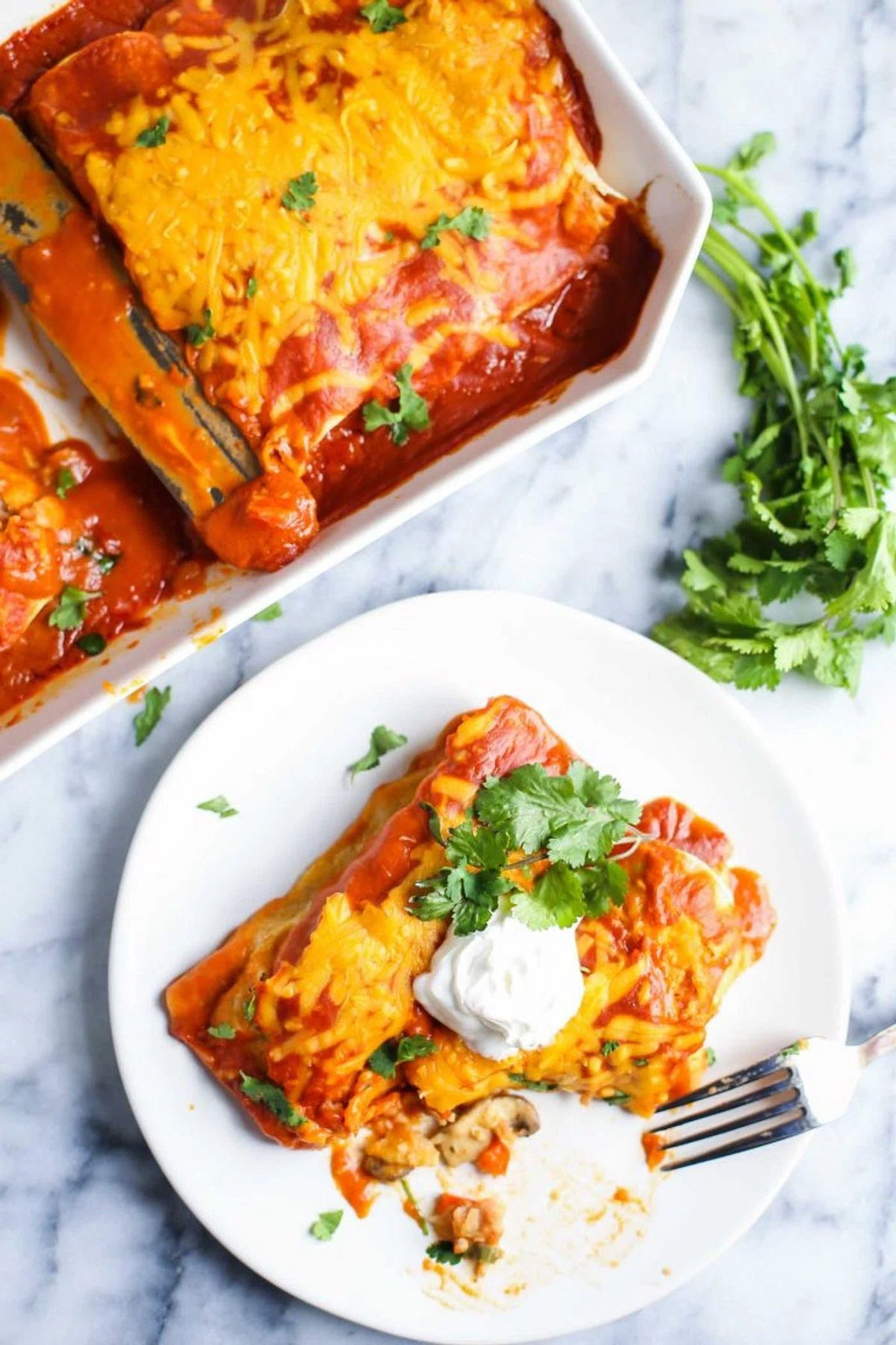 Veggie Vegan Enchiladas