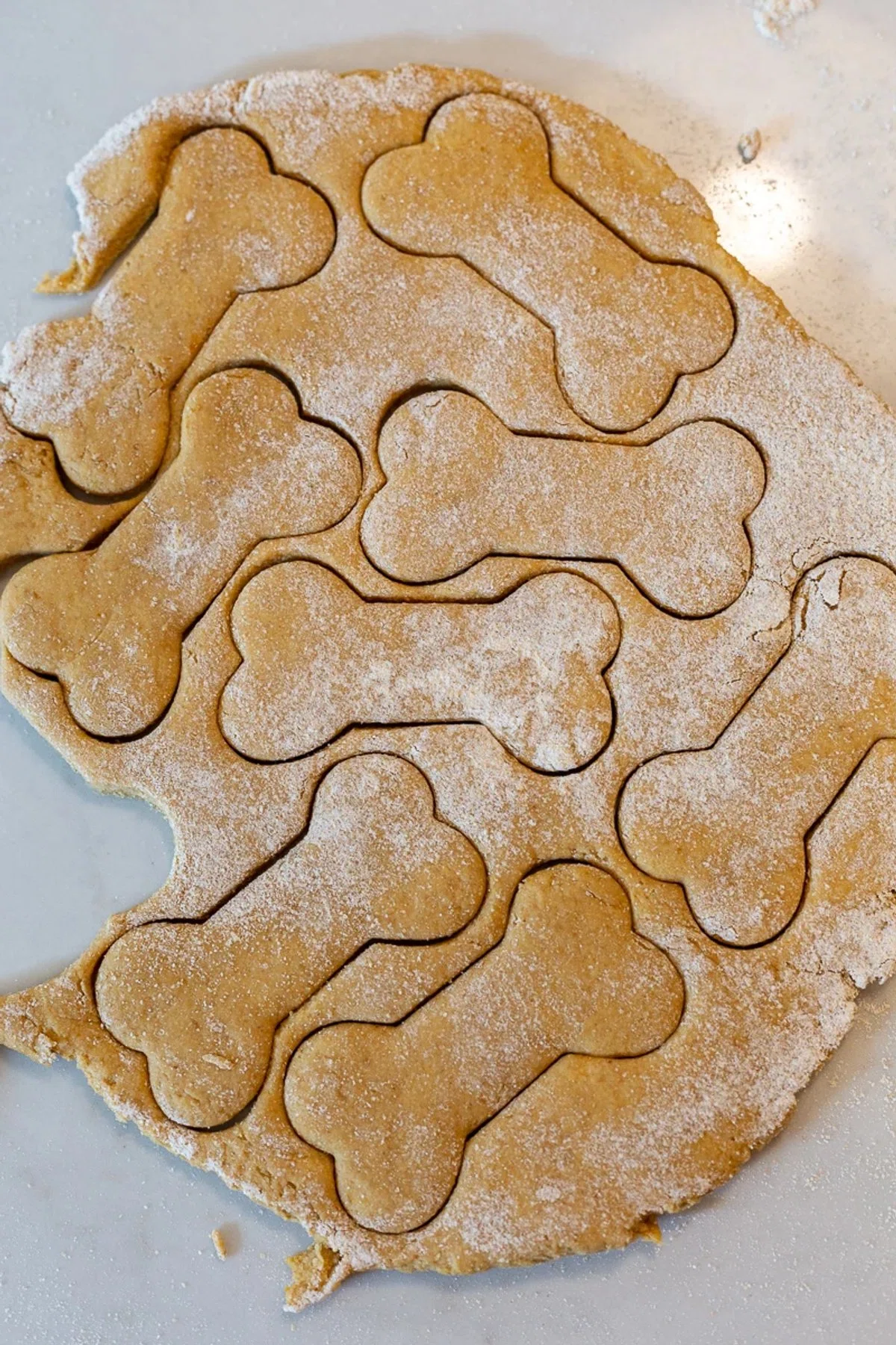 Pumpkin Dog Biscuits Recipe