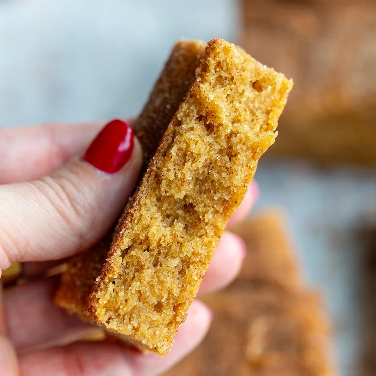 Easy Snickerdoodle Blondies