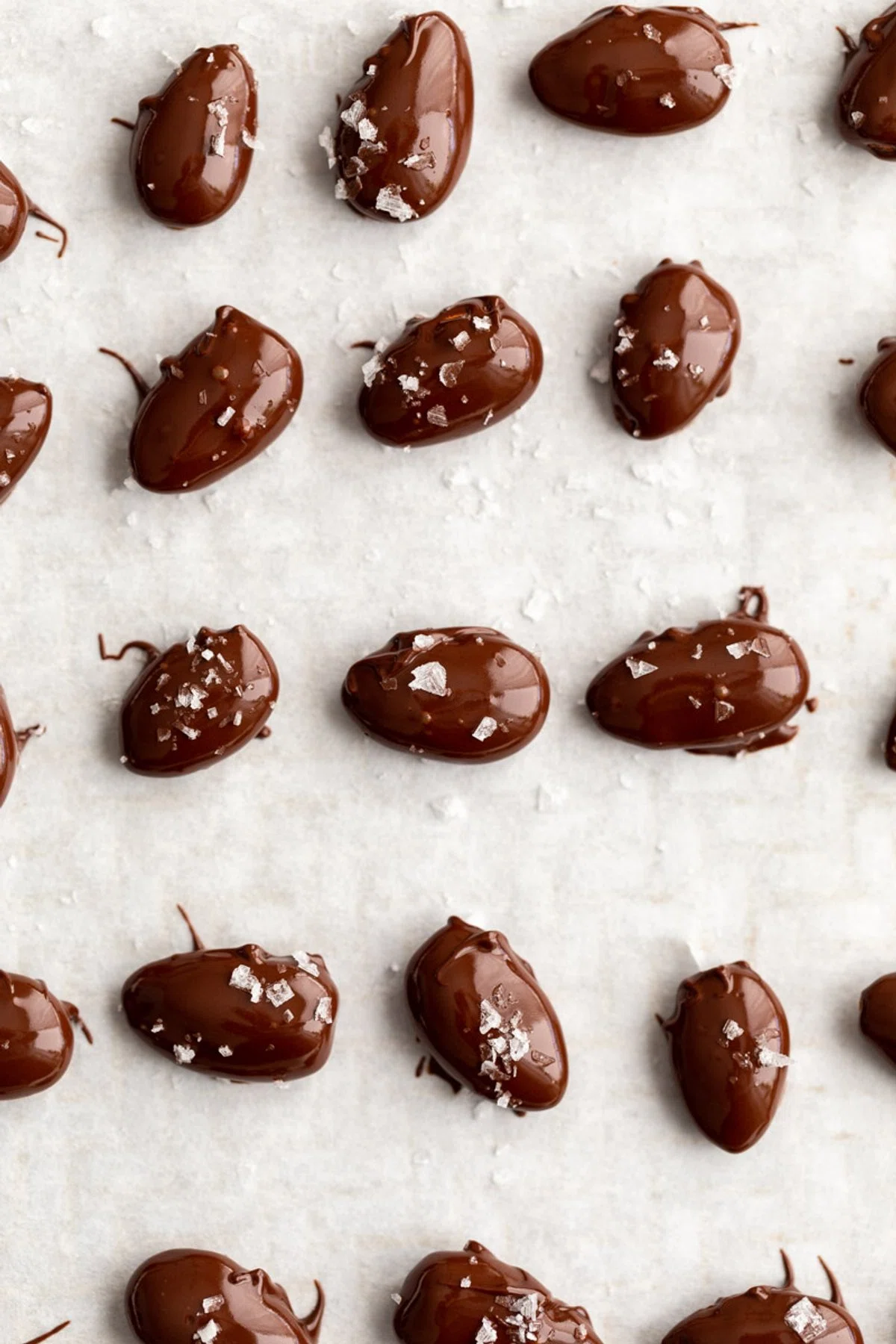 Chocolate Covered Almonds